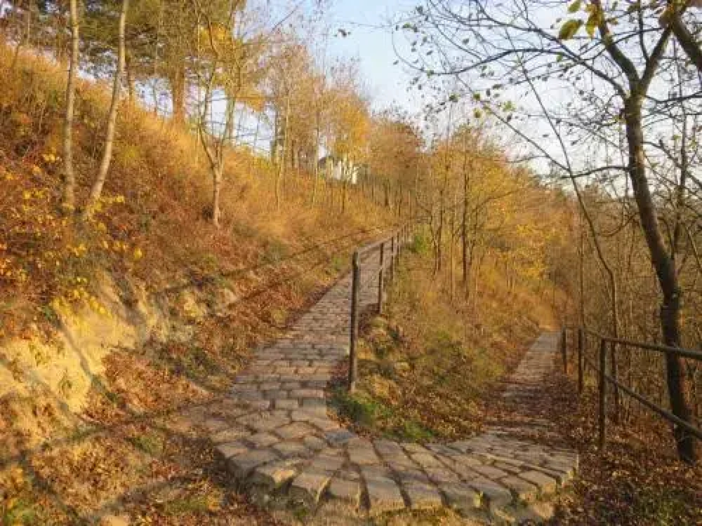 Szőnyi úti vendégház