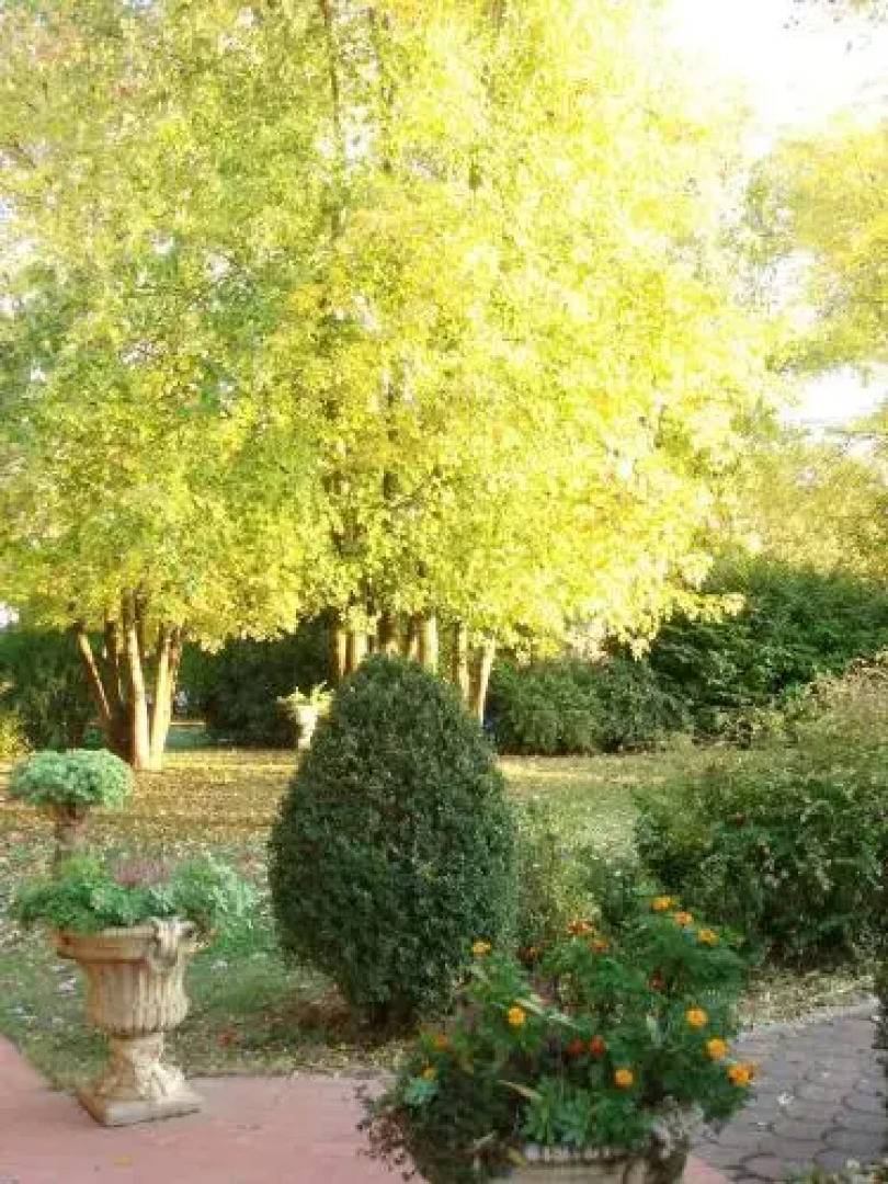 La Corte Del Cavaliere Bed & Breakfast