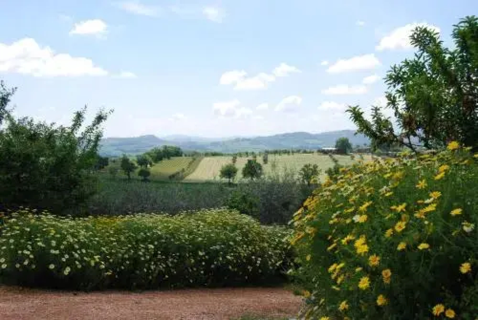 Casale il Cerqueto