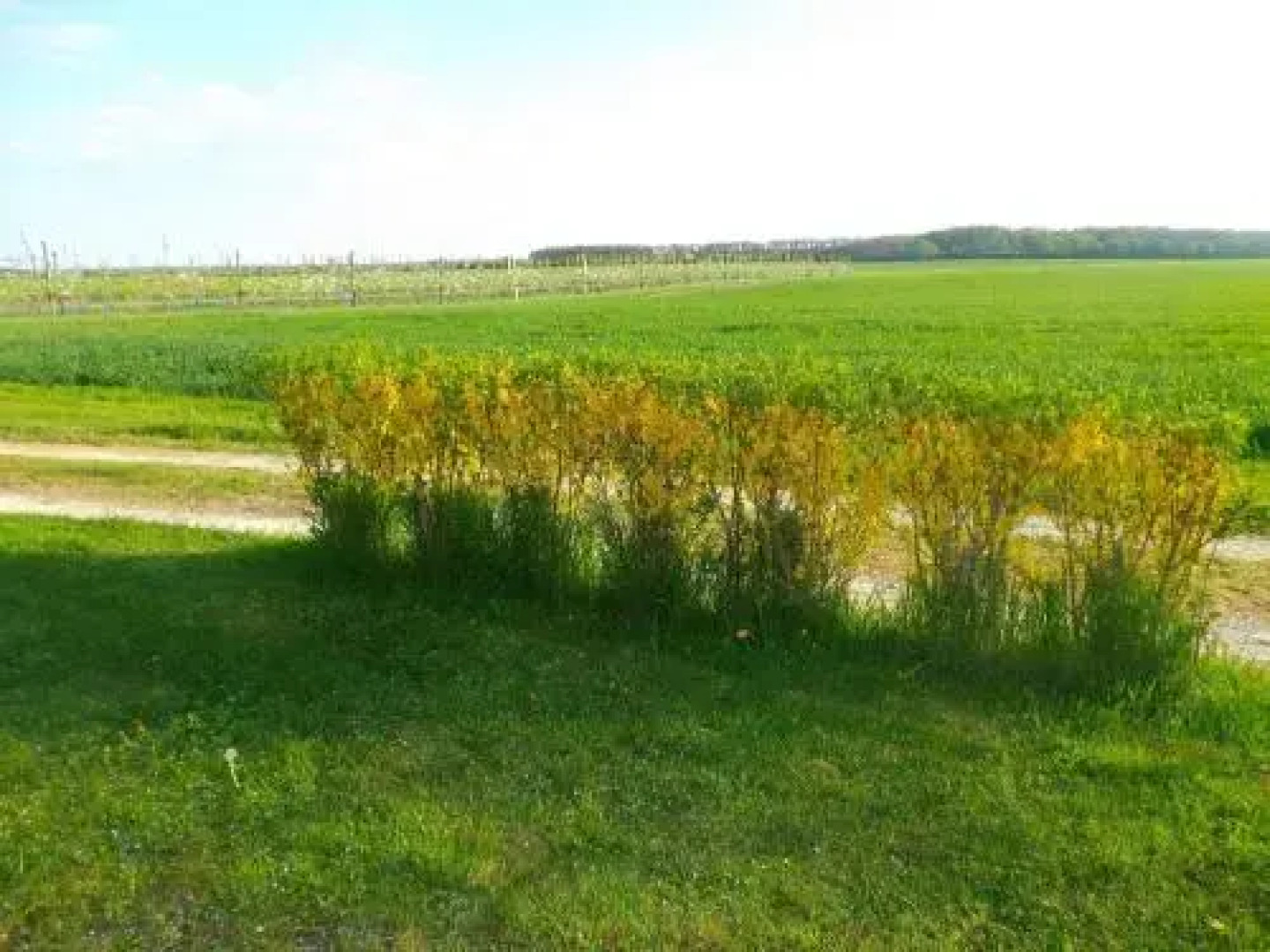 Chambres de Villiers