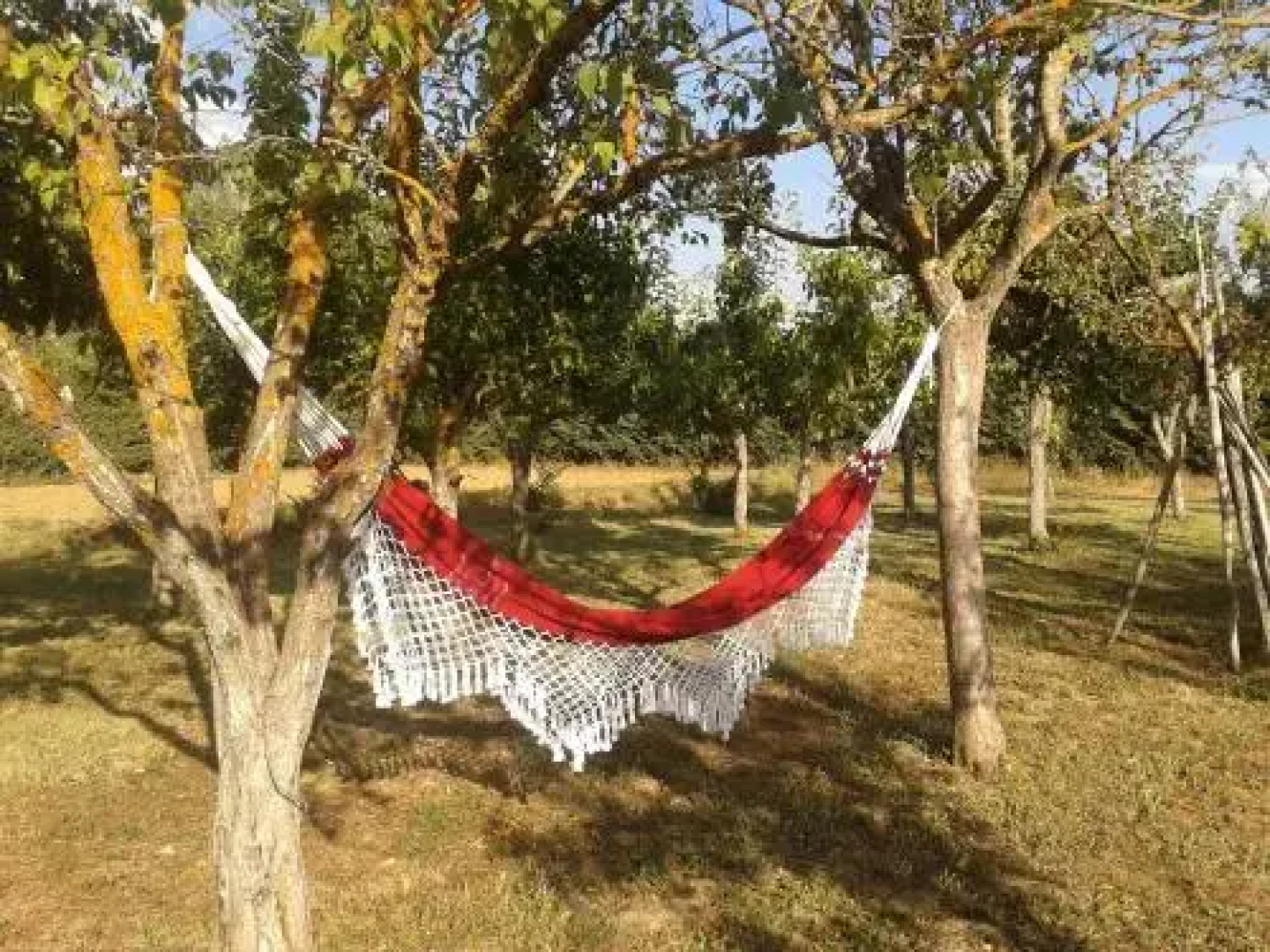 Bed & Breakfast Le Piagge