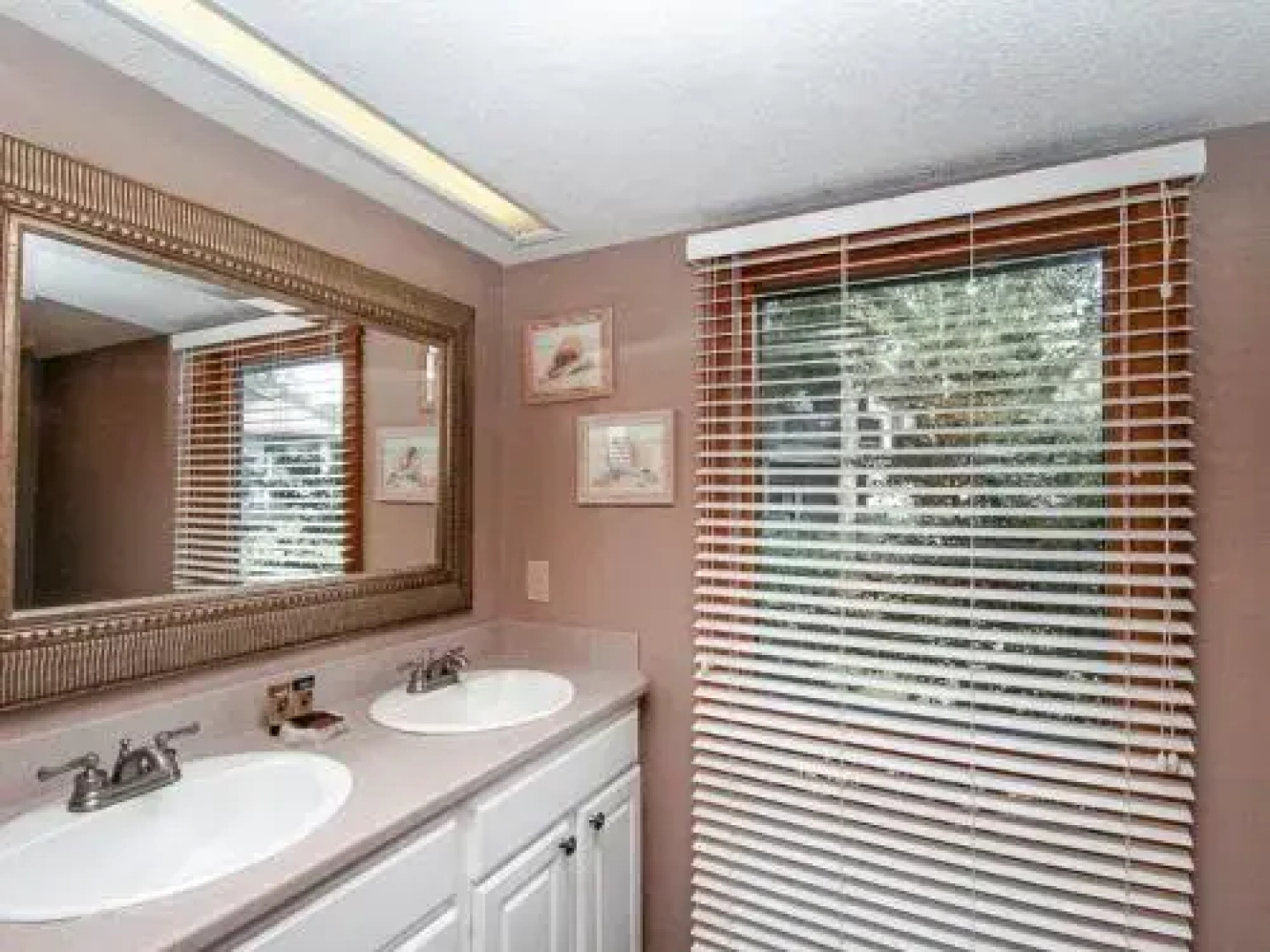 Turtle Point 4926 by RedAwning