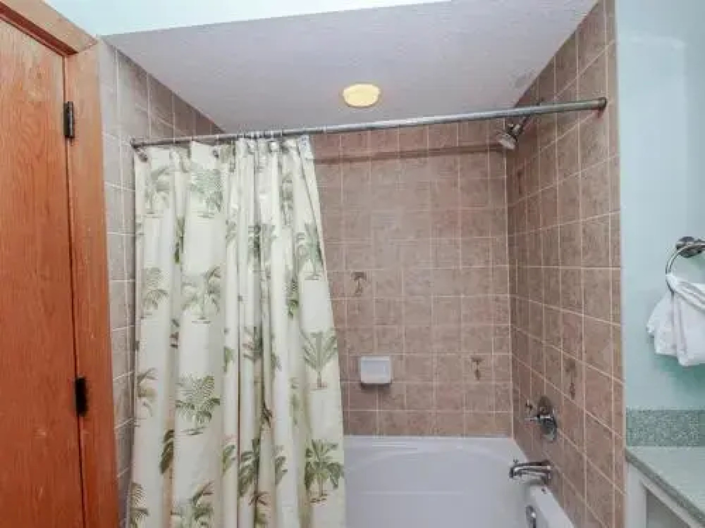 Turtle Point 4926 by RedAwning