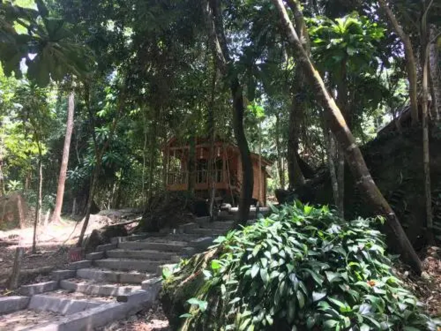 Starfish Bungalows
