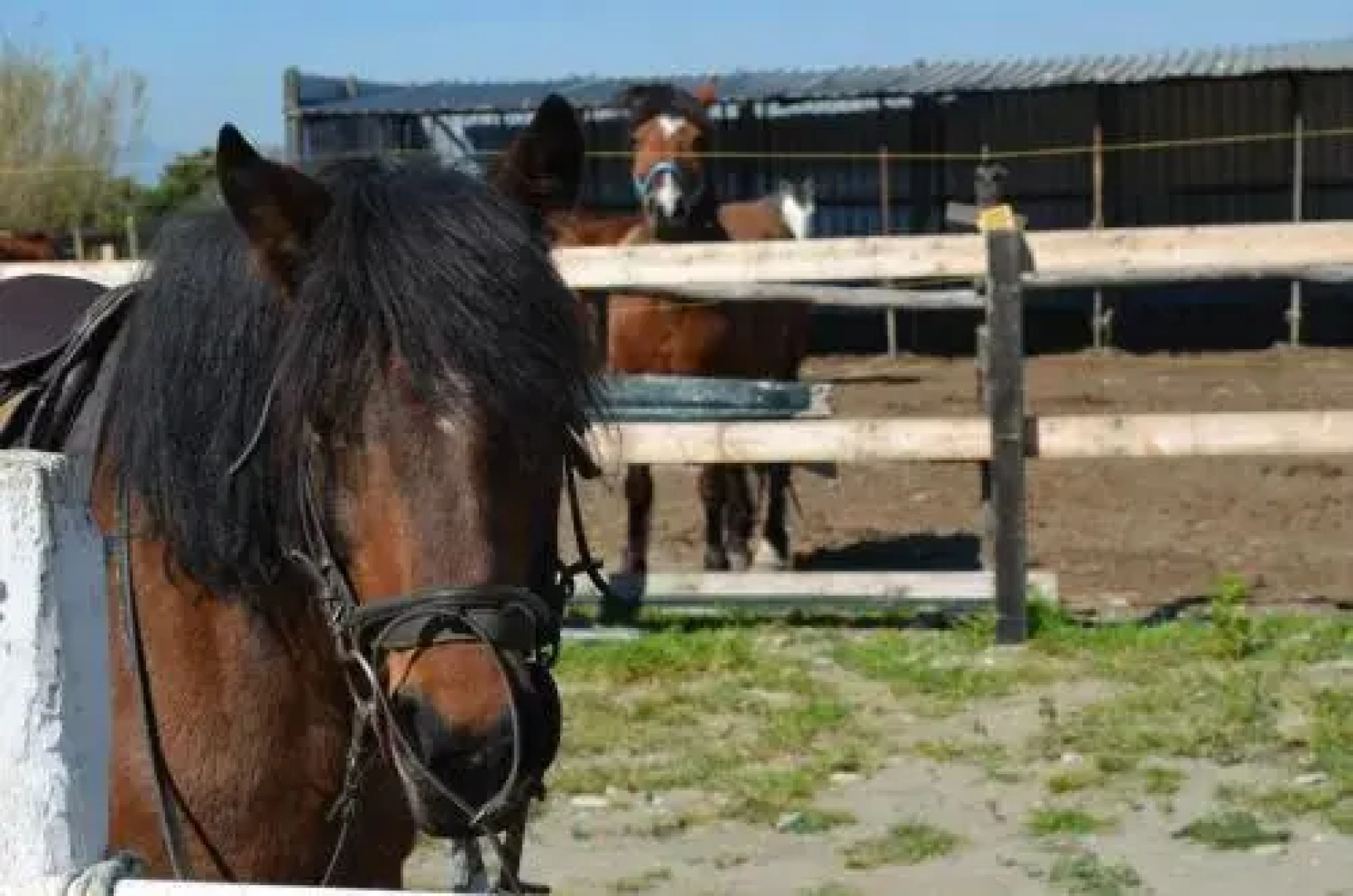 Circolo Velico Lucano