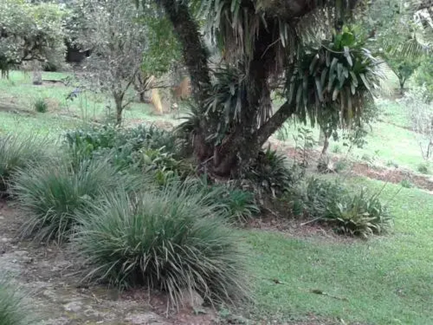 Pousada Recanto Águas Vivas