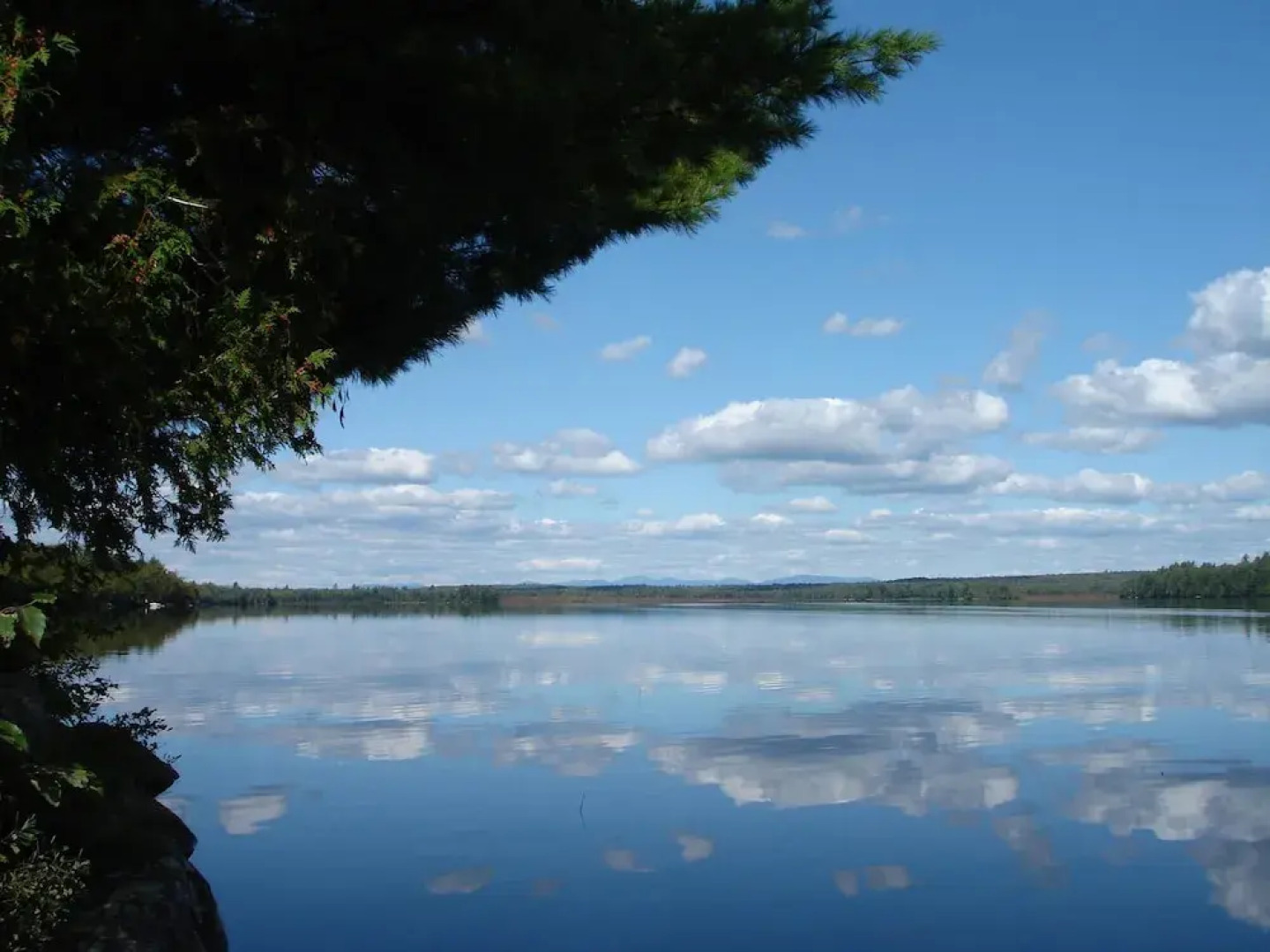 The Brewer House Bed and Breakfast