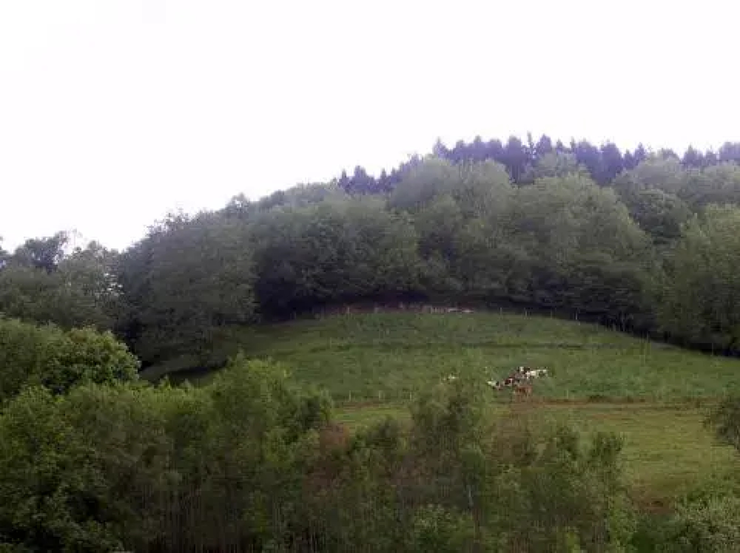 Gîte Henry