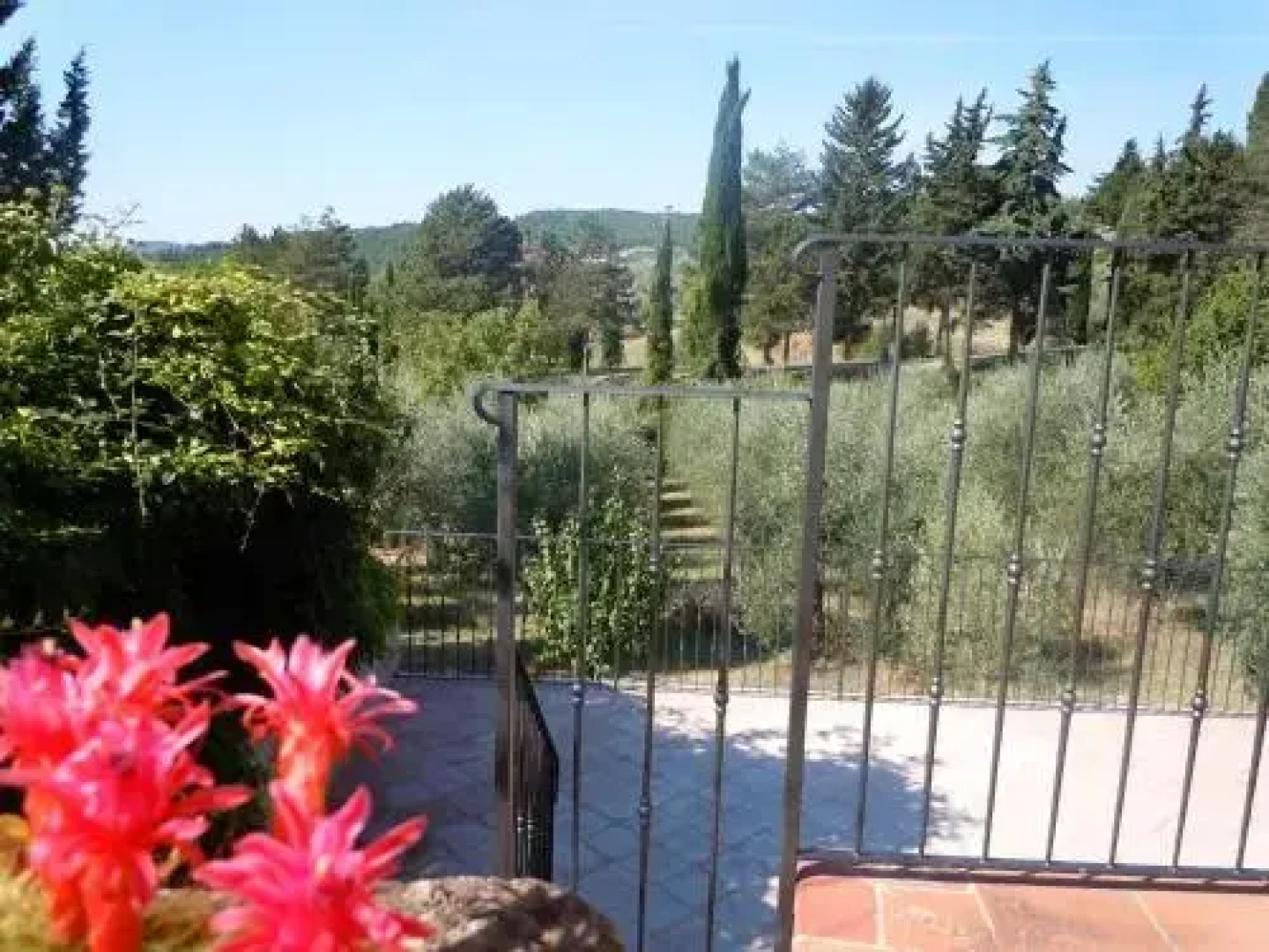 Campo Agli Olivi