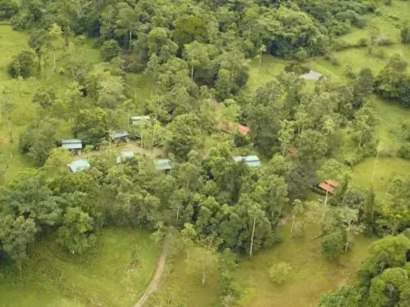 Selva Bananito Lodge