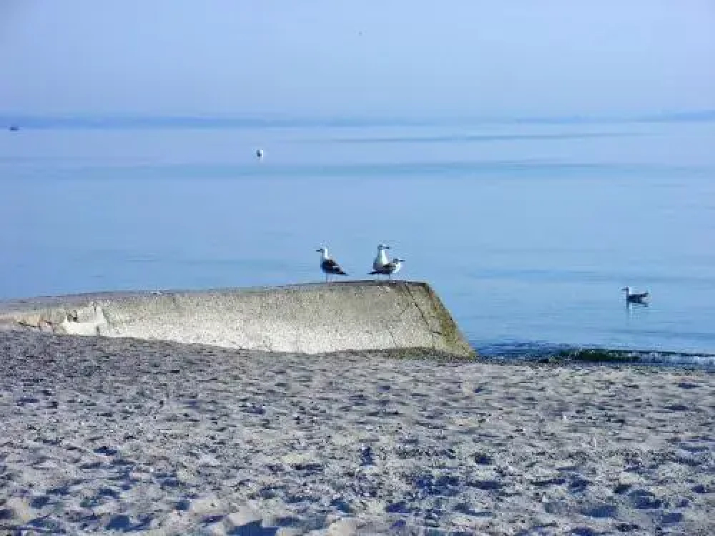 FeWo Machedanz Timmendorfer Strand