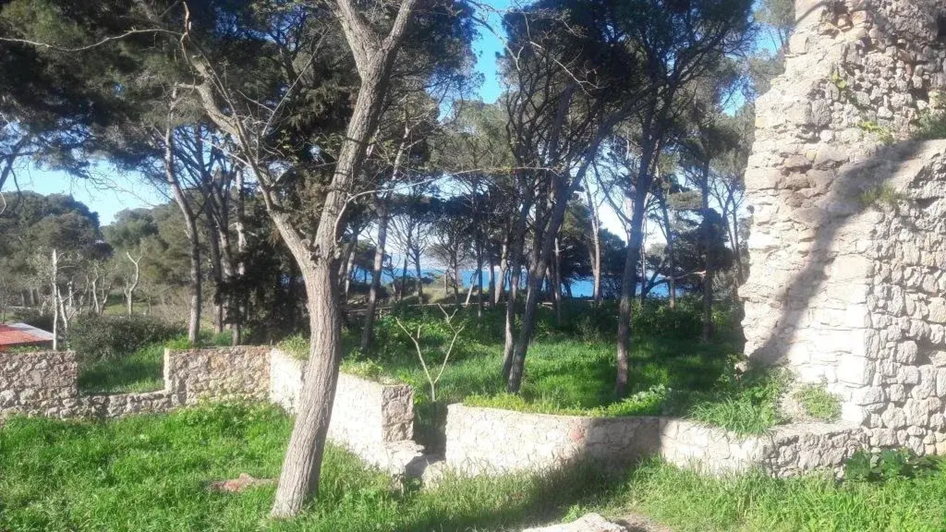 La Casa al Roura