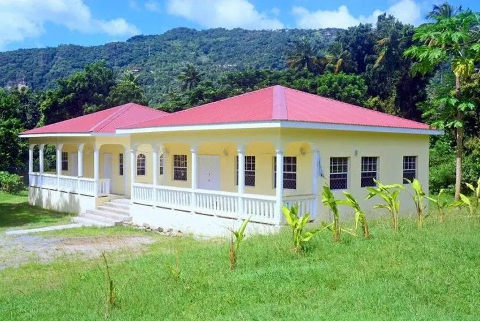 The Yellow Palm