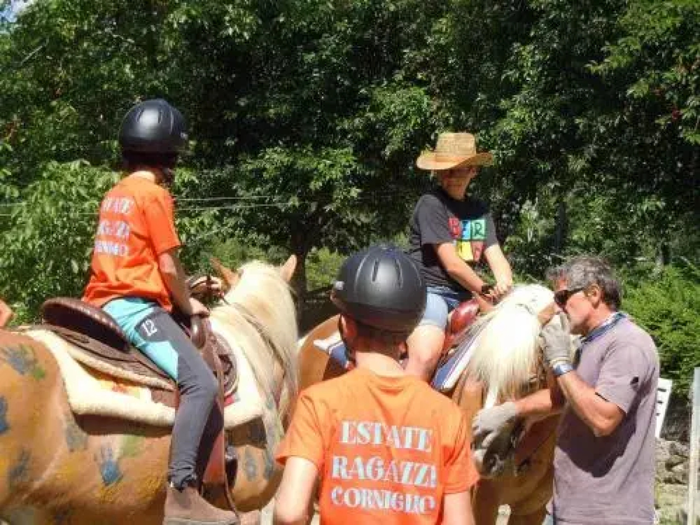 B&B Il Bosco delle Fate