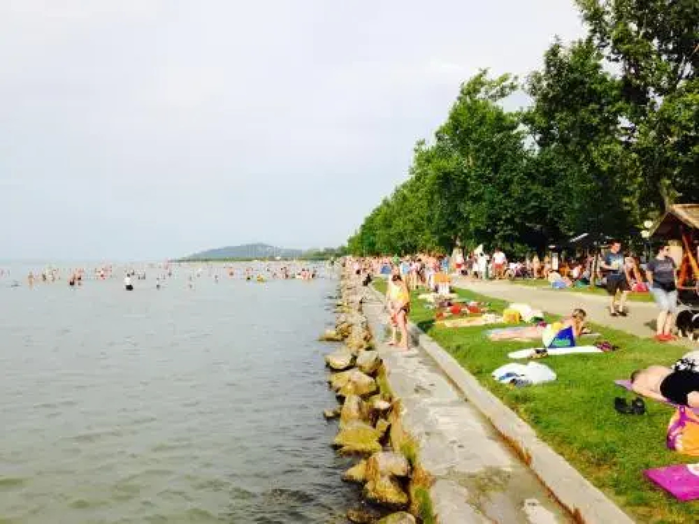 Móricz Wellness Villa