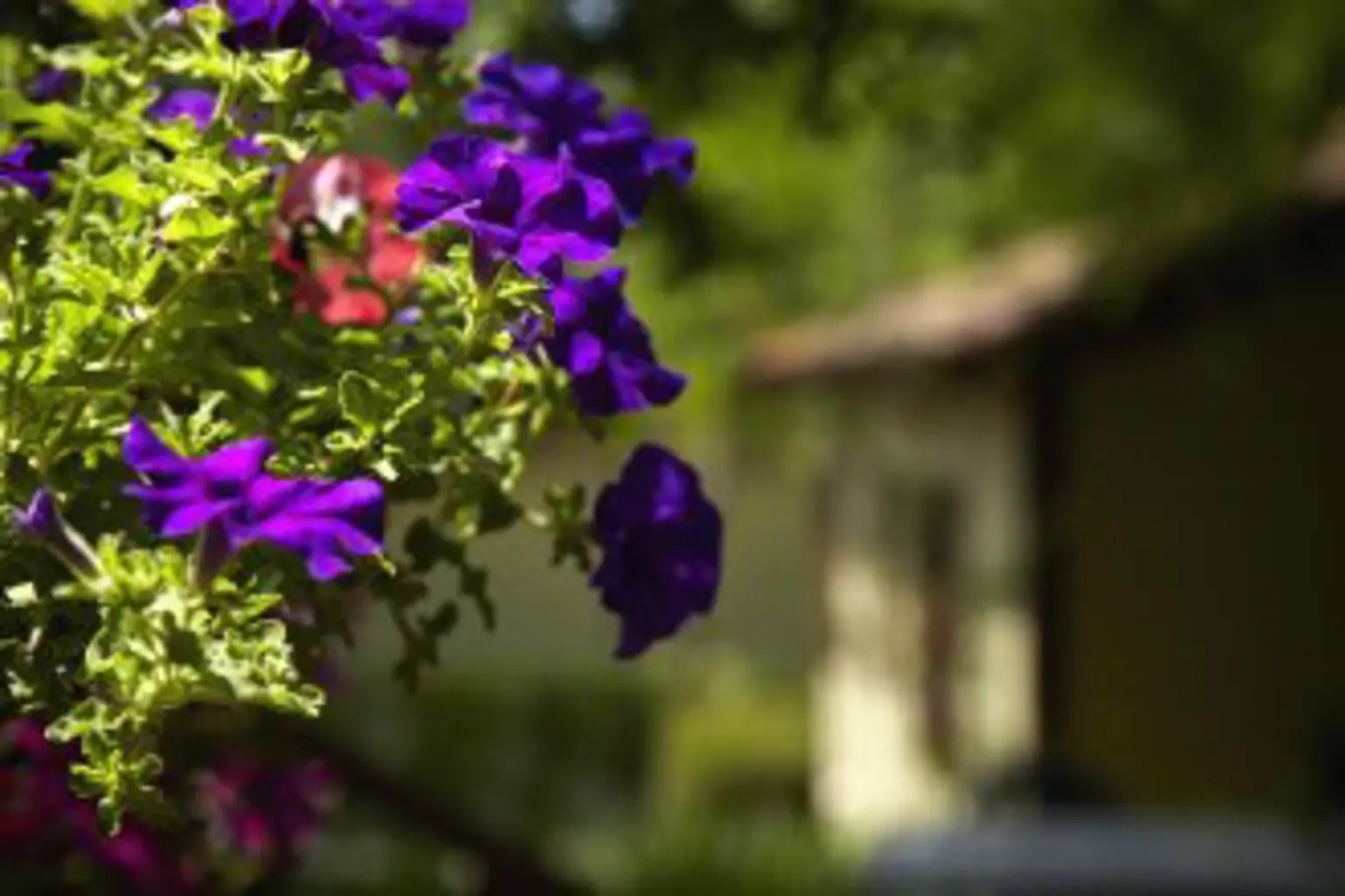 Garriguella Empordà