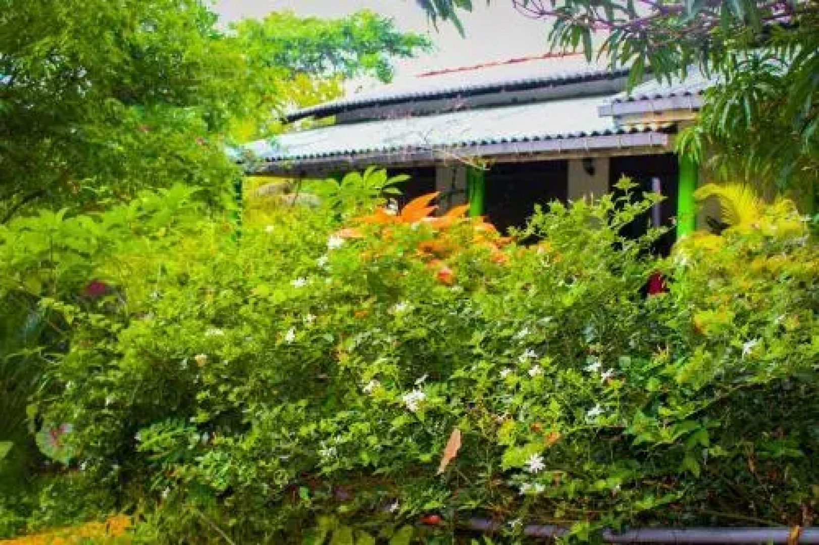 Sigiriya Green Garden Homestay