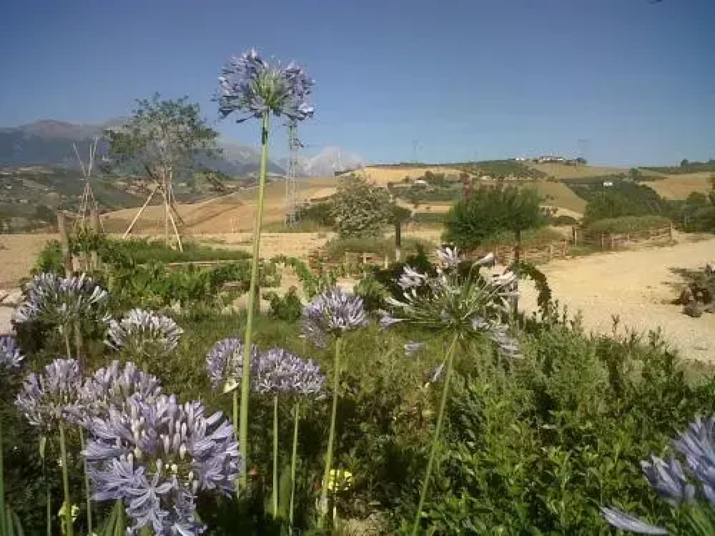 Agriturismo Cignale