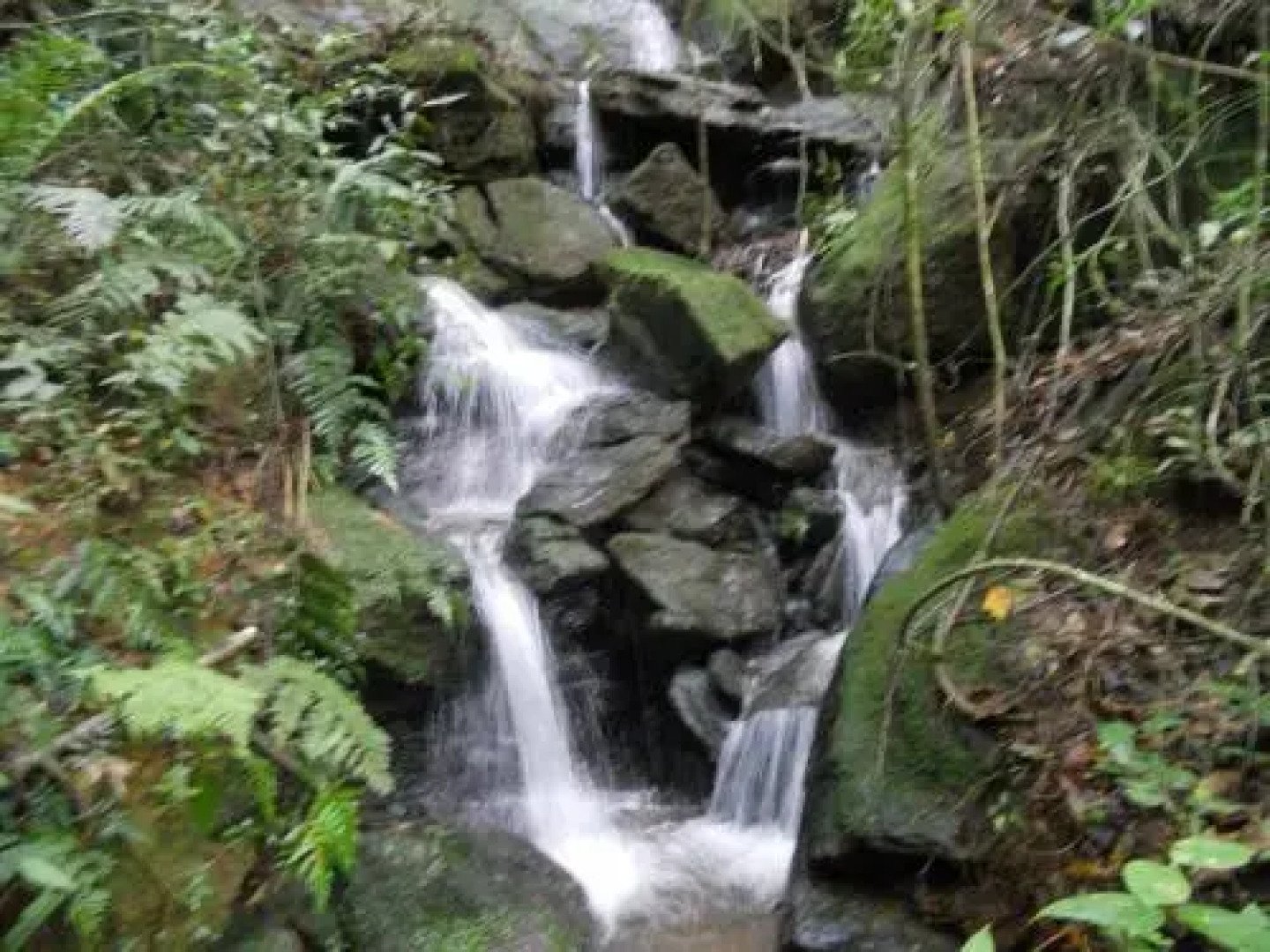 Chalés Serrinha do Papagaio