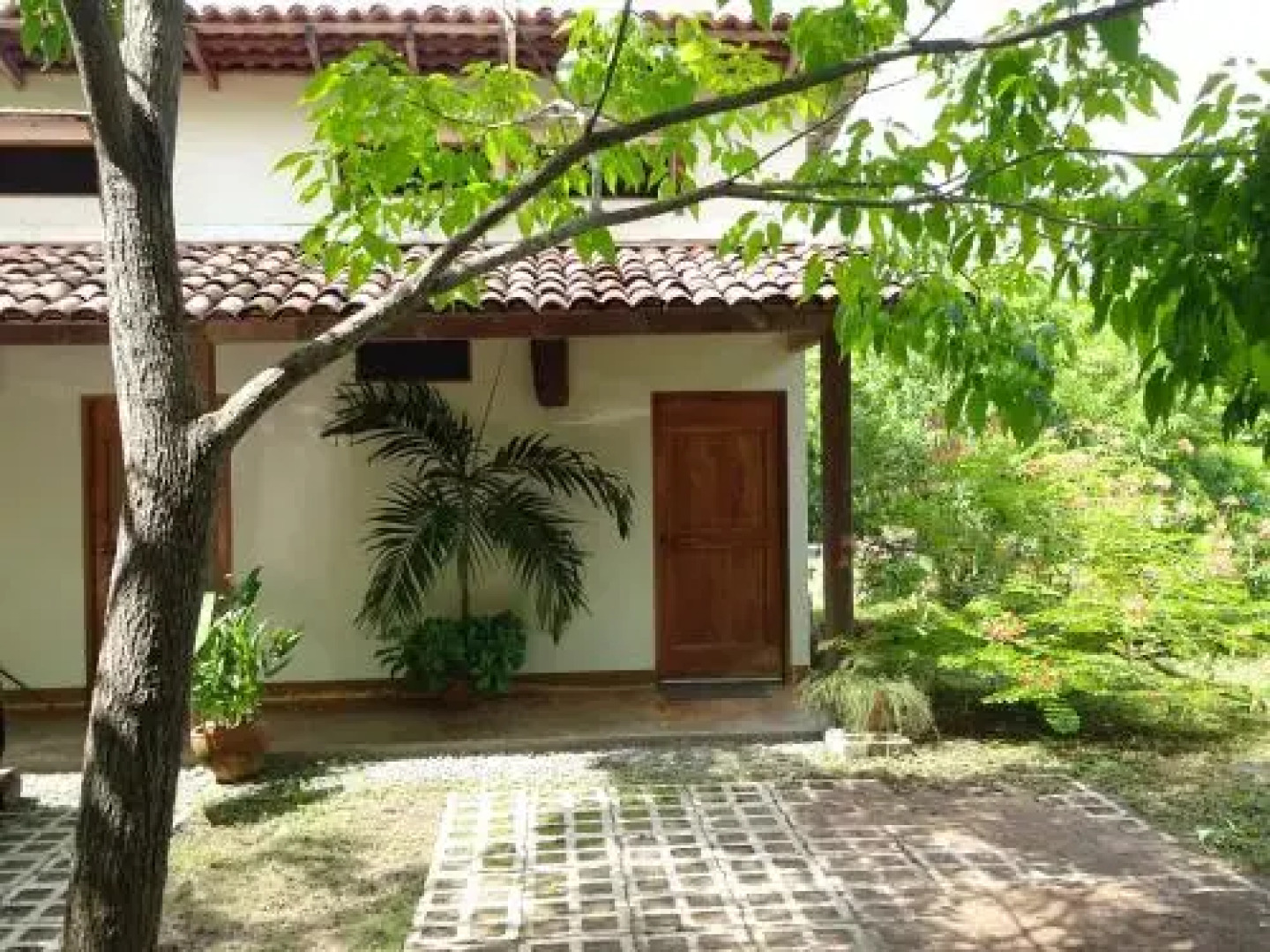 La Rosa de Los Vientos