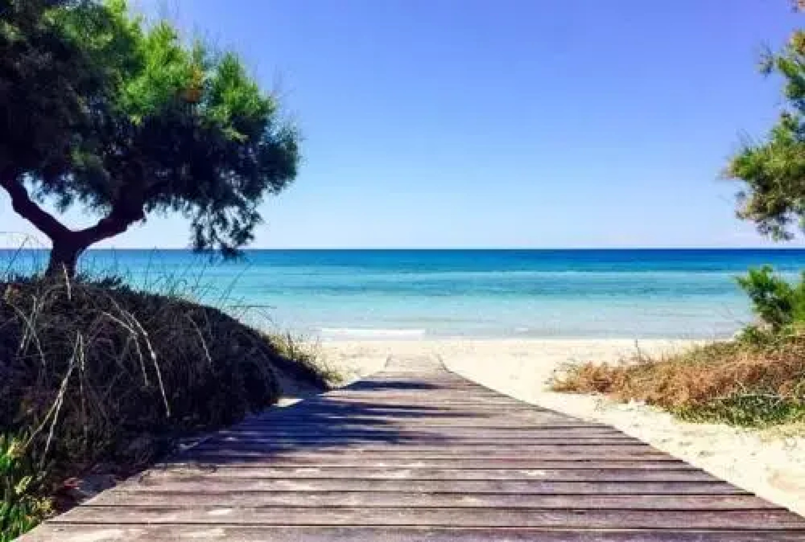 B&B Salento Beach