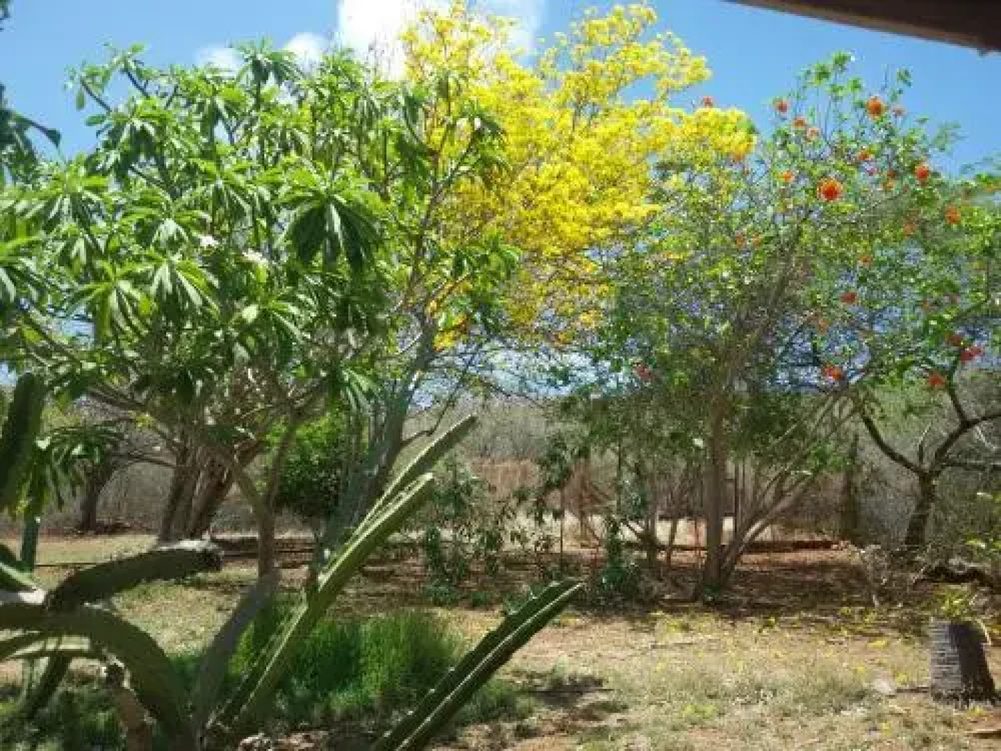 Bed & Breakfast, Land-house with Yoga-specials.