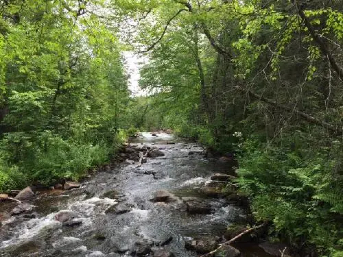 Lodge Nature Laurentides