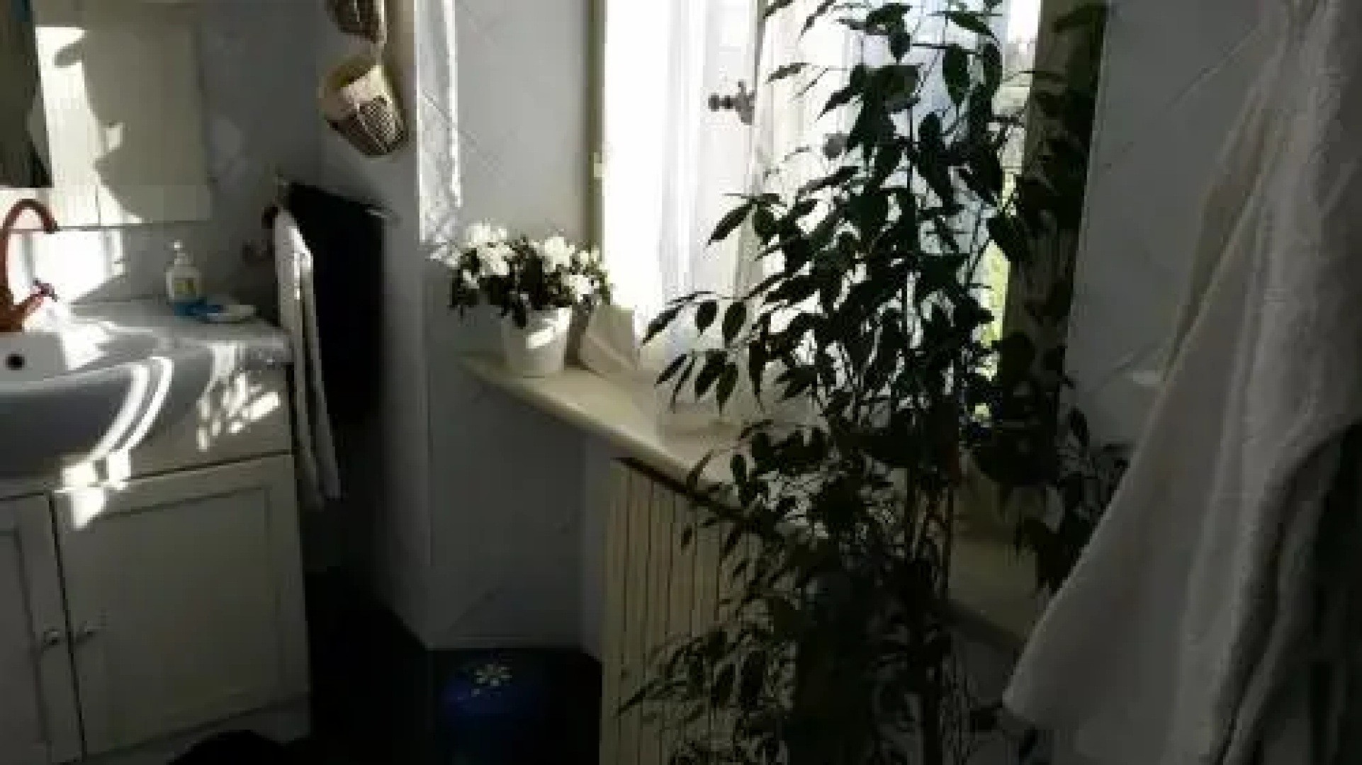 White Lady Bed and Breakfast