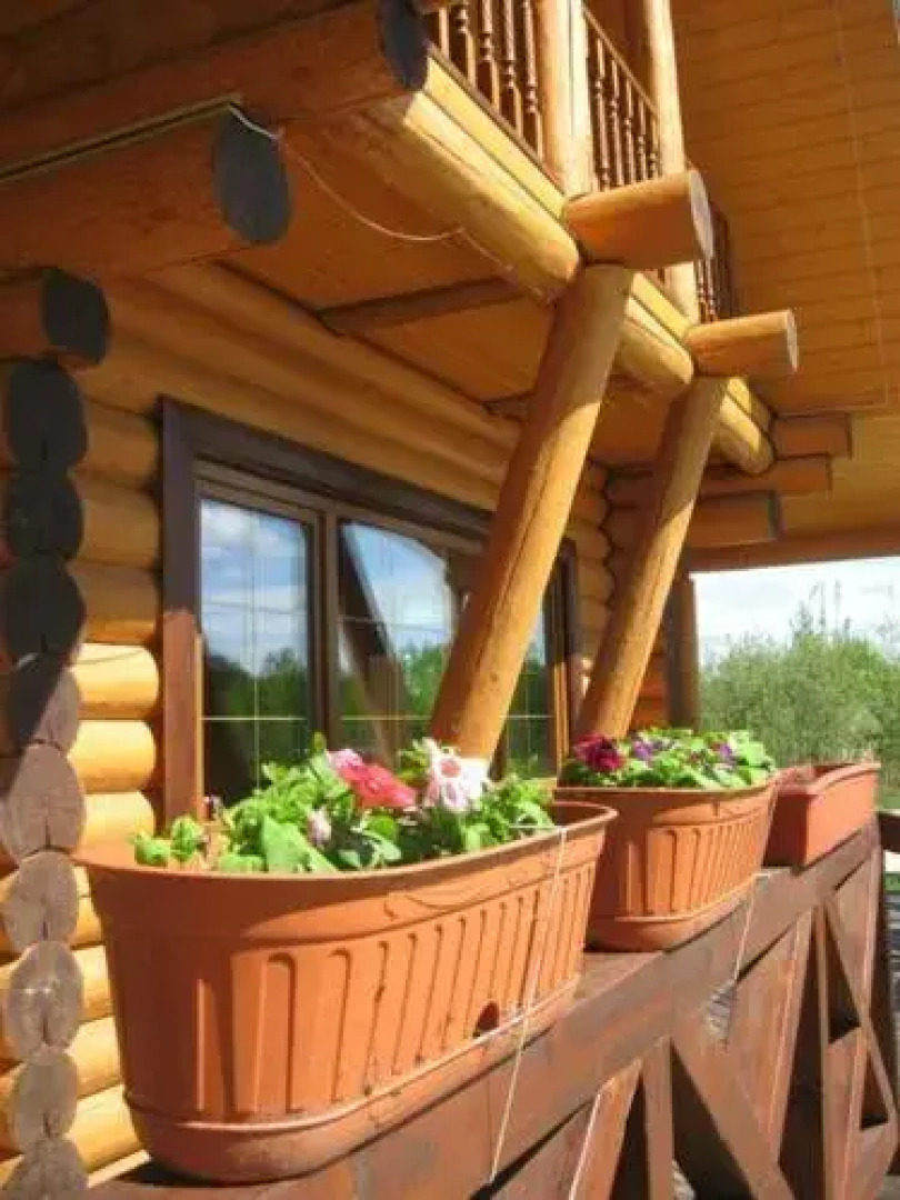 Ёлкино Перепёлкино