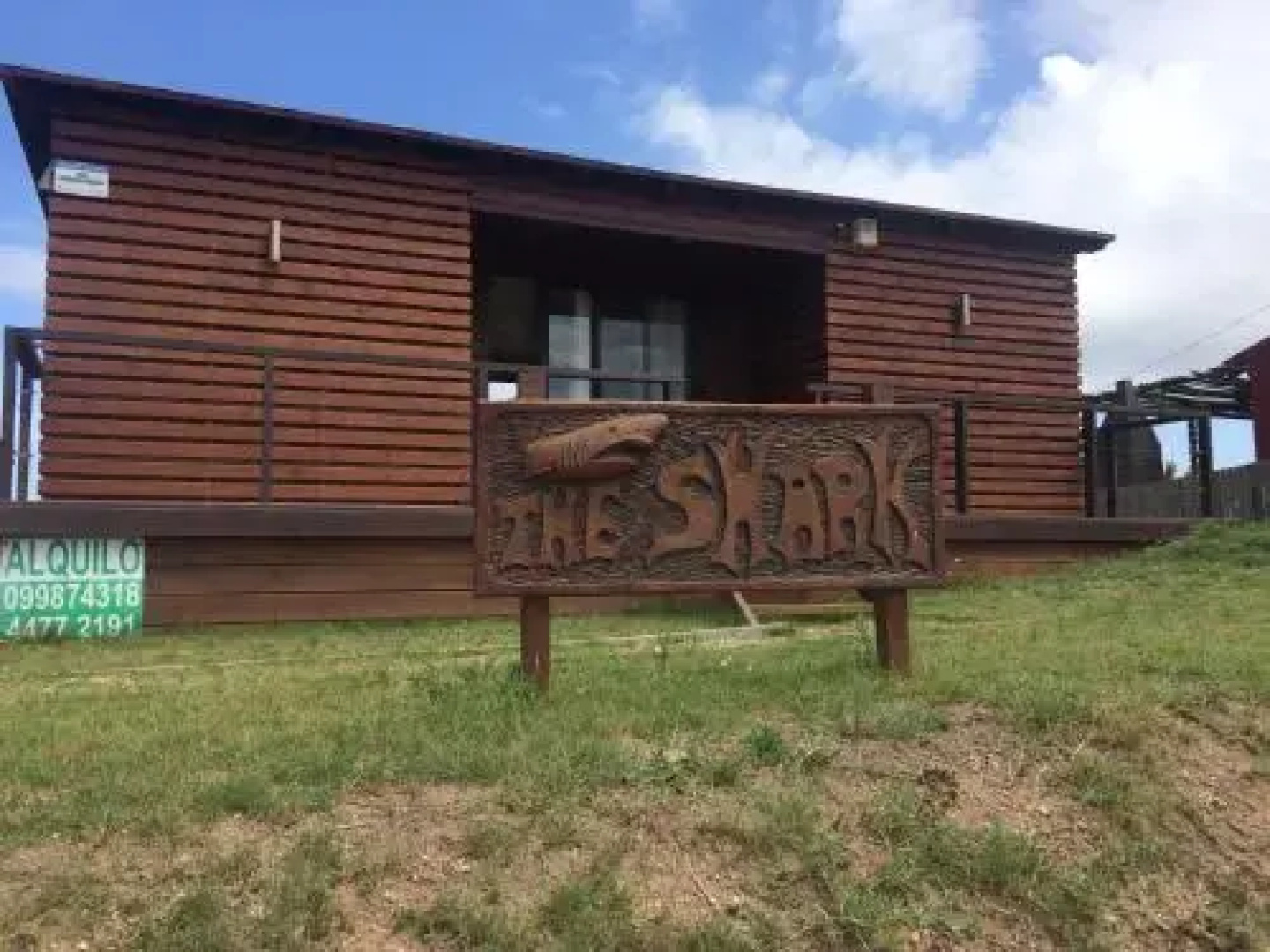 The Shark