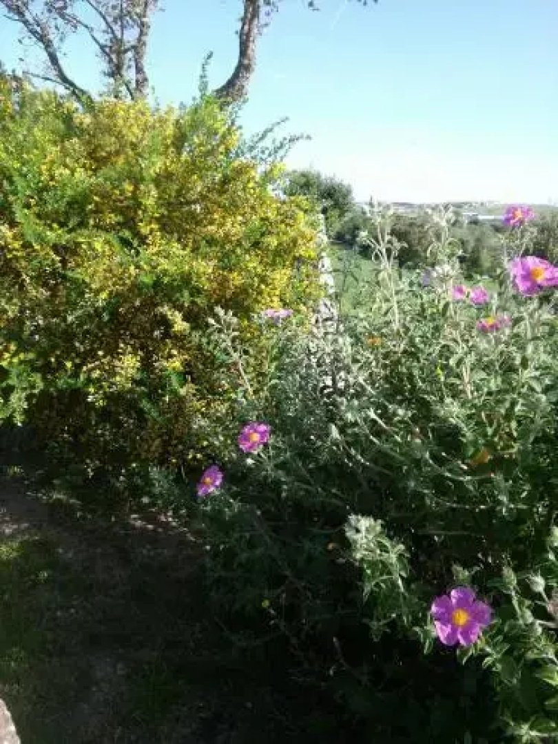 Agriturismo Su Recreu