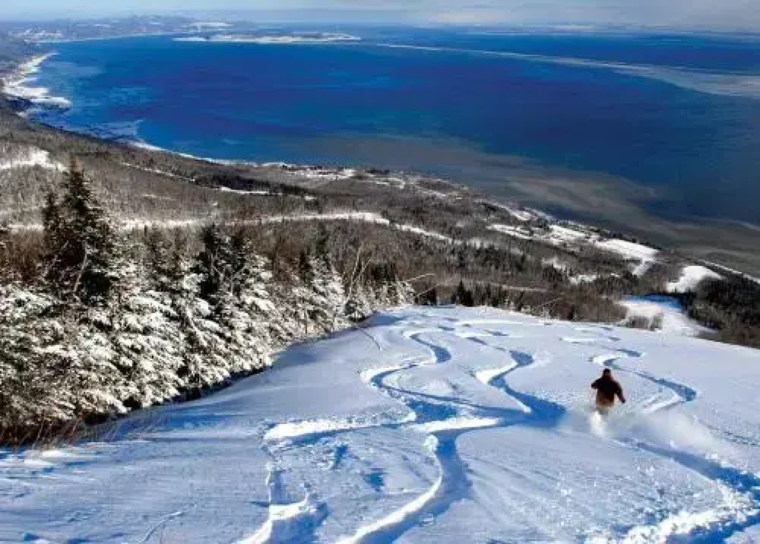 Maison Des Multis-Bois