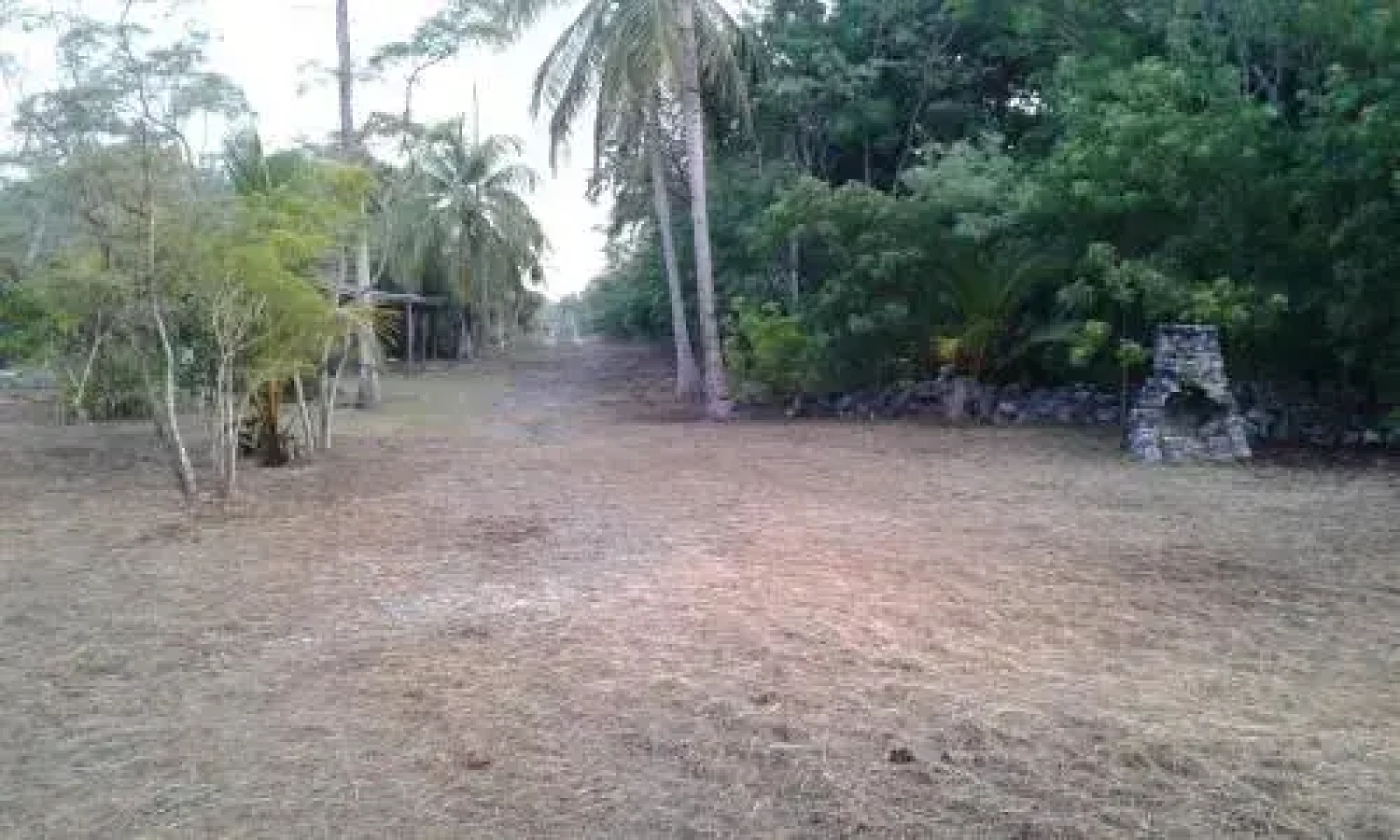 Paradise Creek Cottages