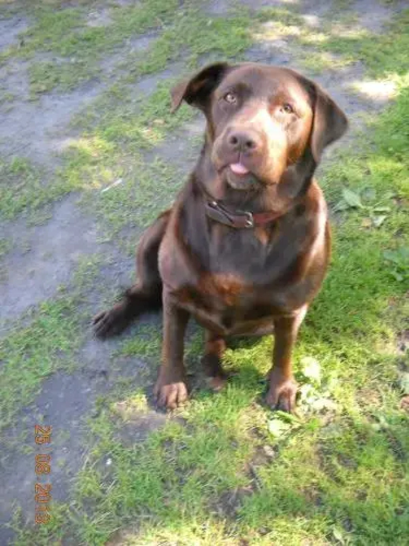 Agroturystyka Chłopy