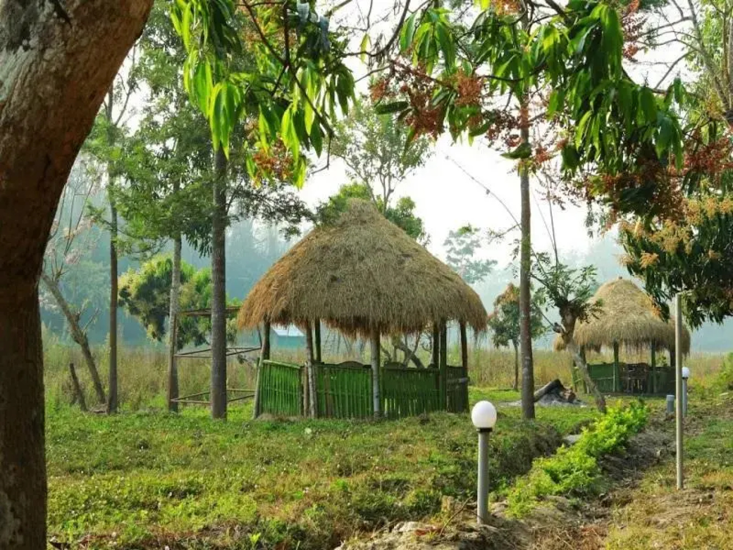 Emarald Wild West Wayanad