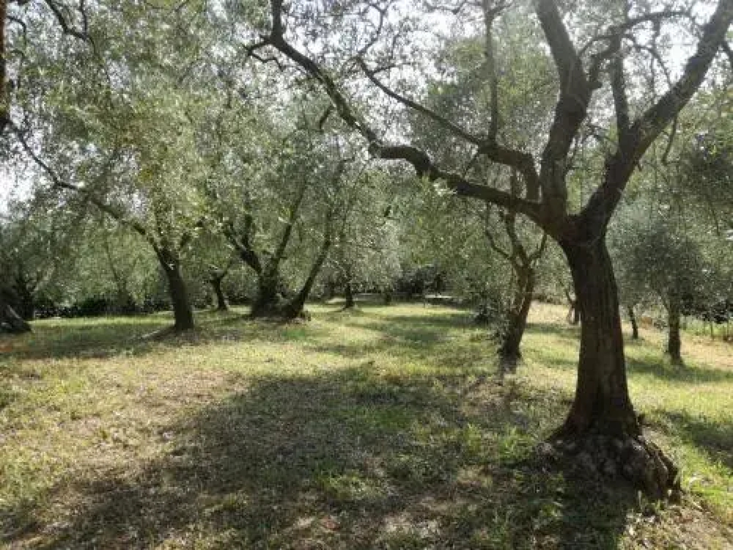 Agrihouse Tre Pozzi
