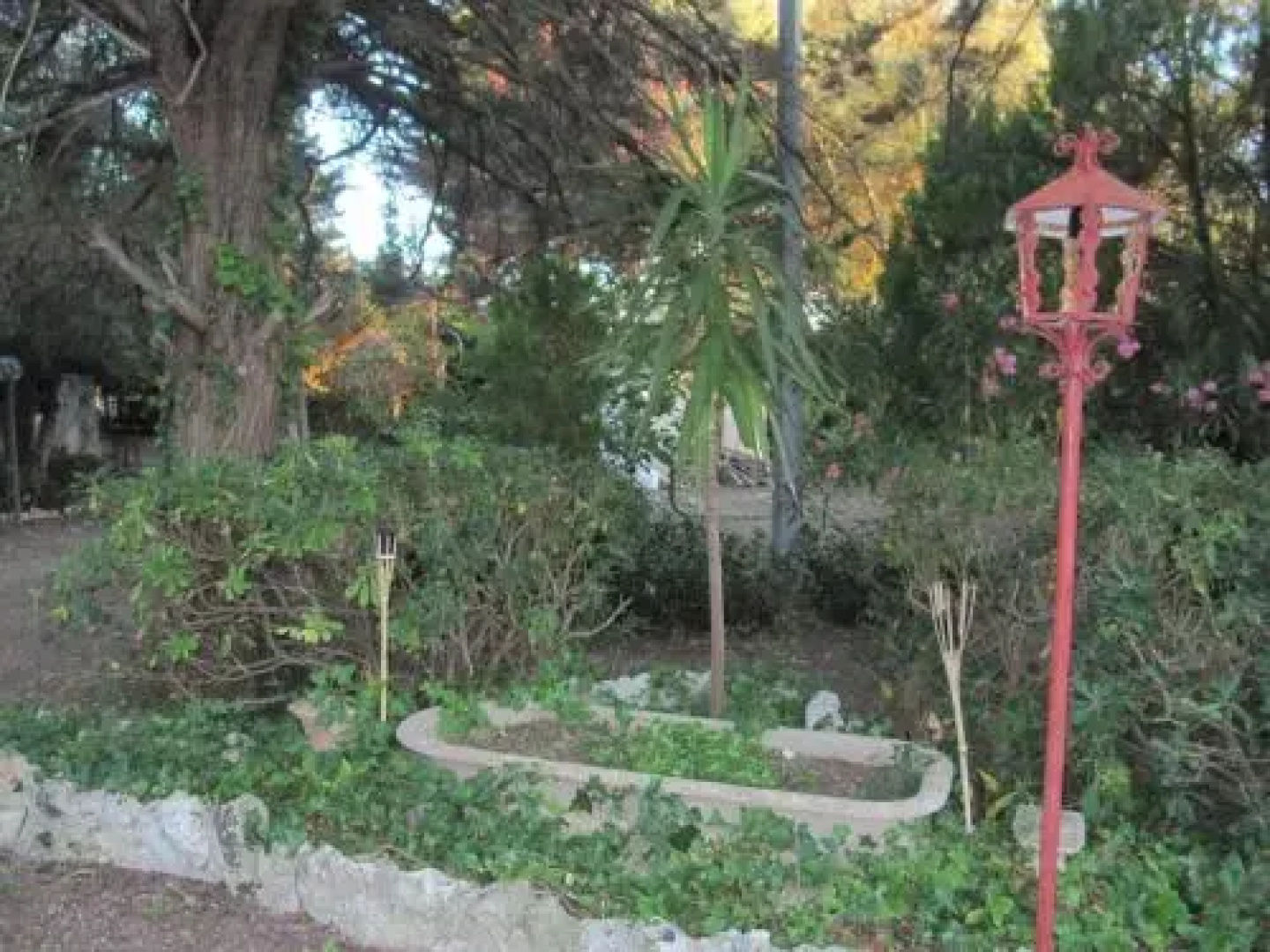 Garden Lucia