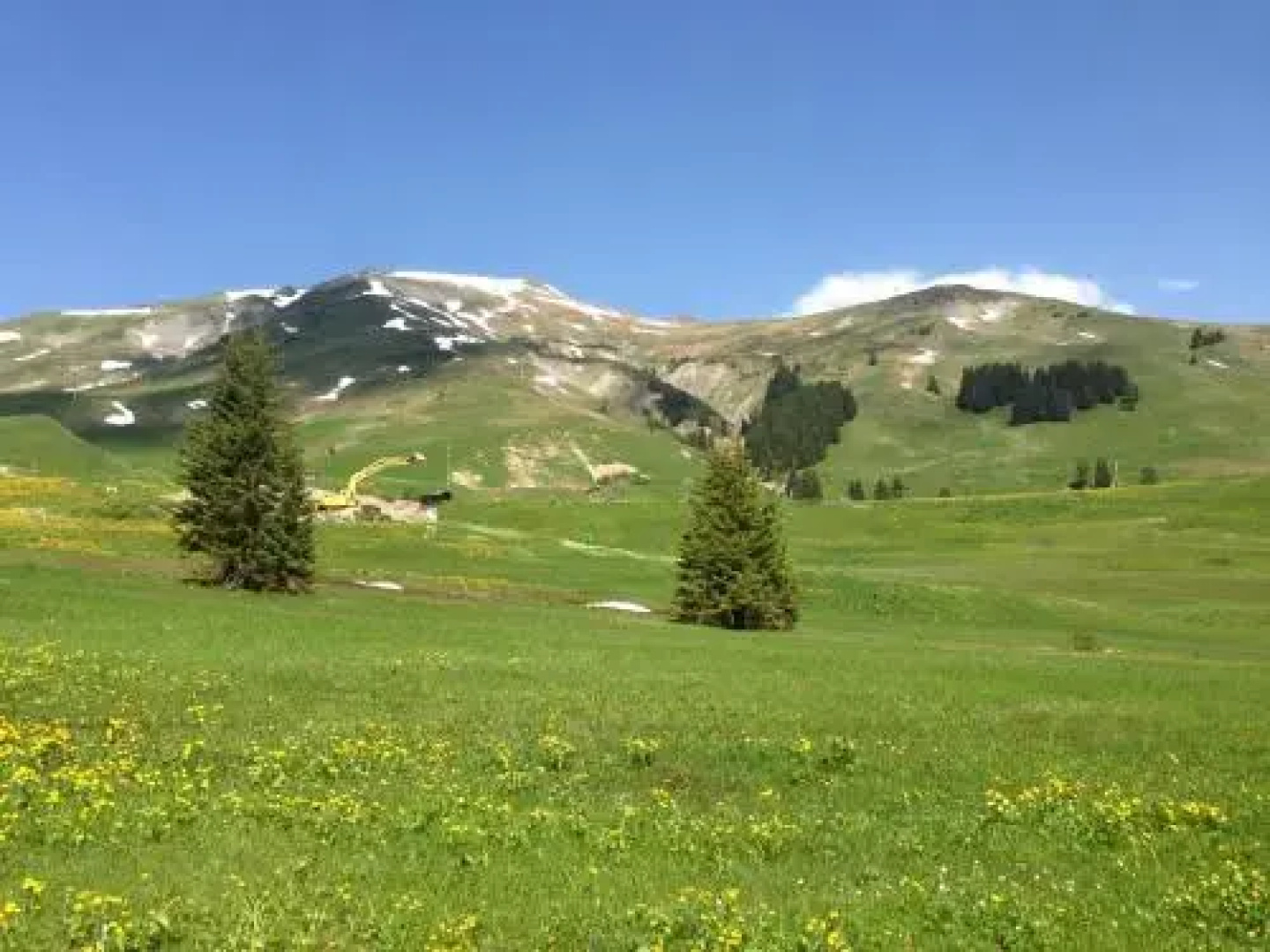 Chalet Sturmfang