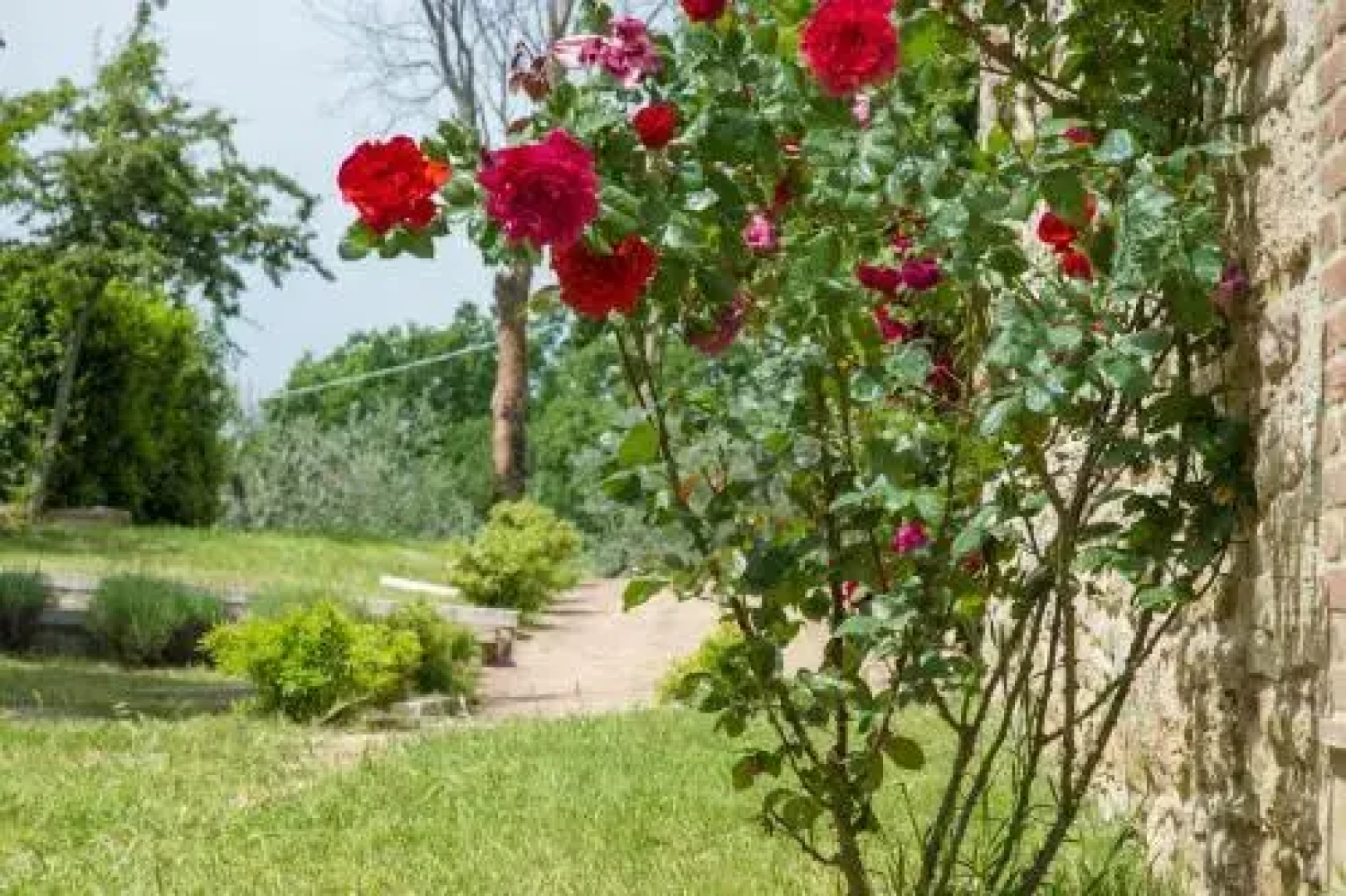 Country House La Lungavita