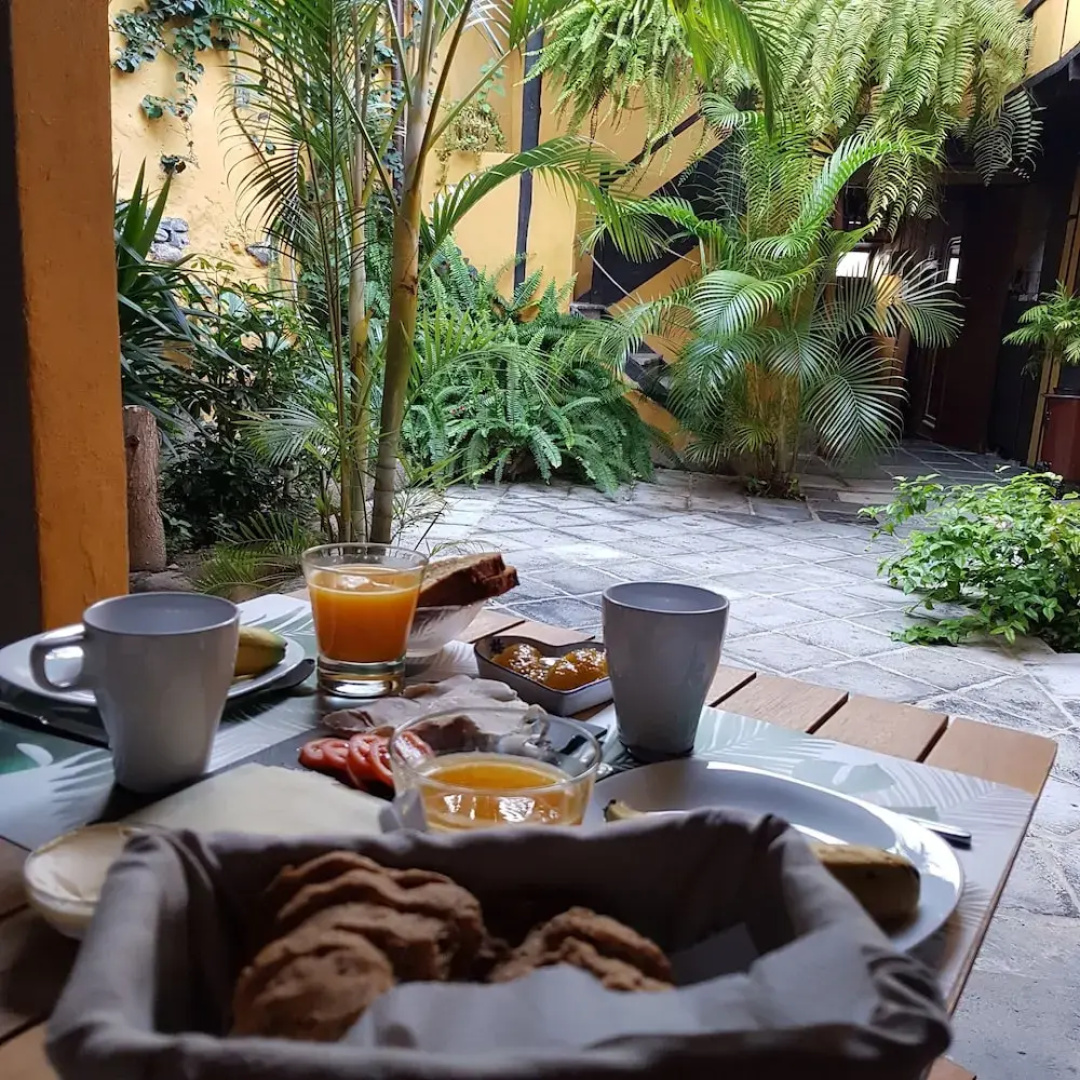 Casa La Moringa