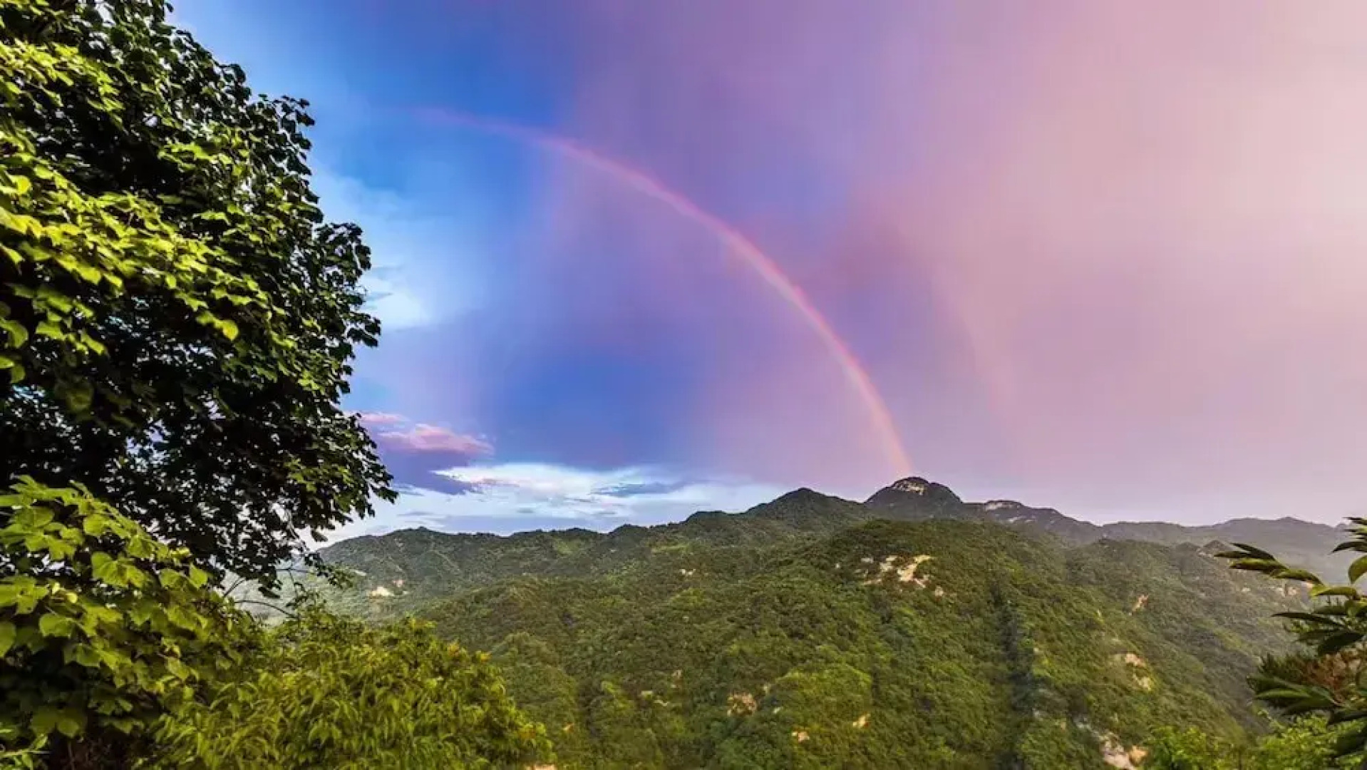 Wudangshan tianle hotel