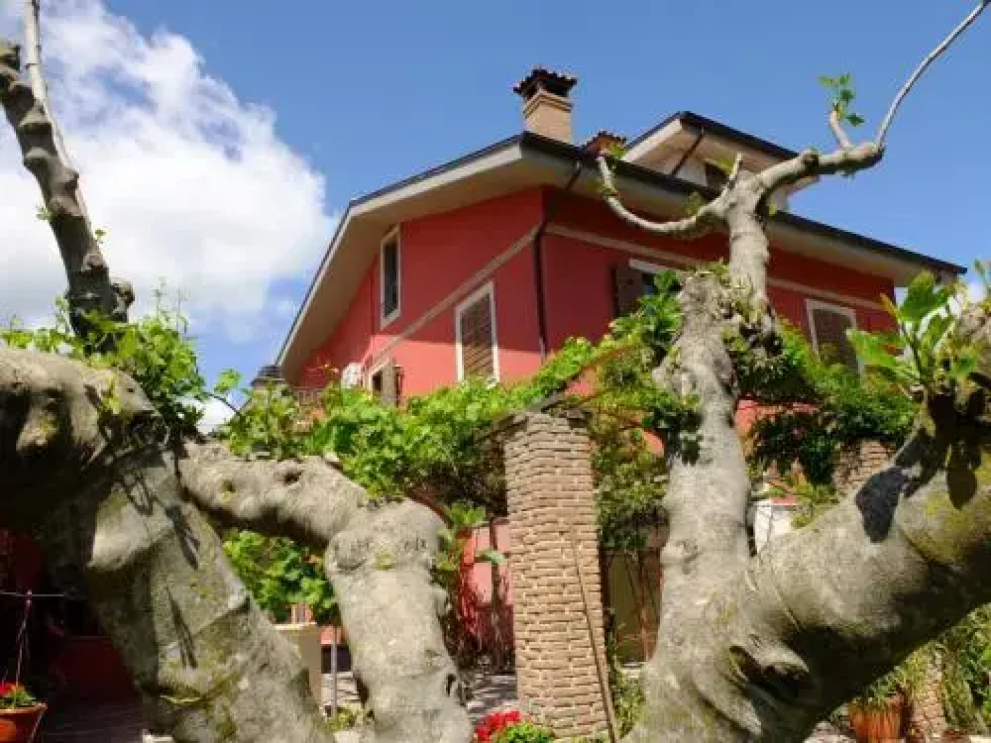 LUpupa B&B