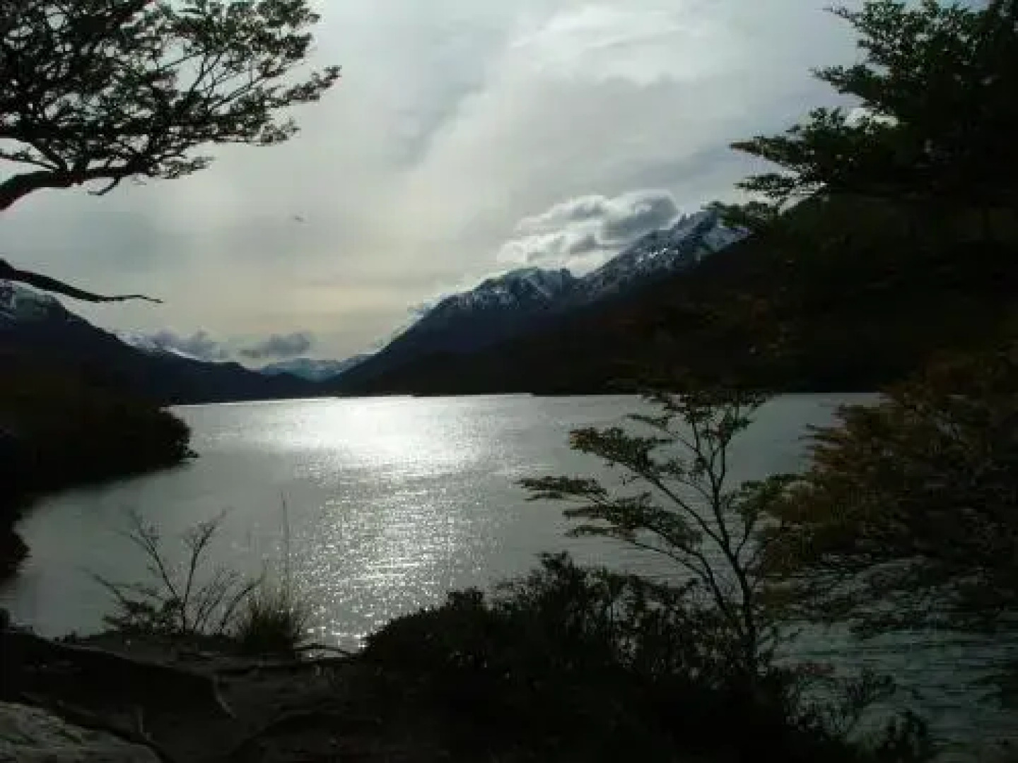 Nothofagus Bed & Breakfast