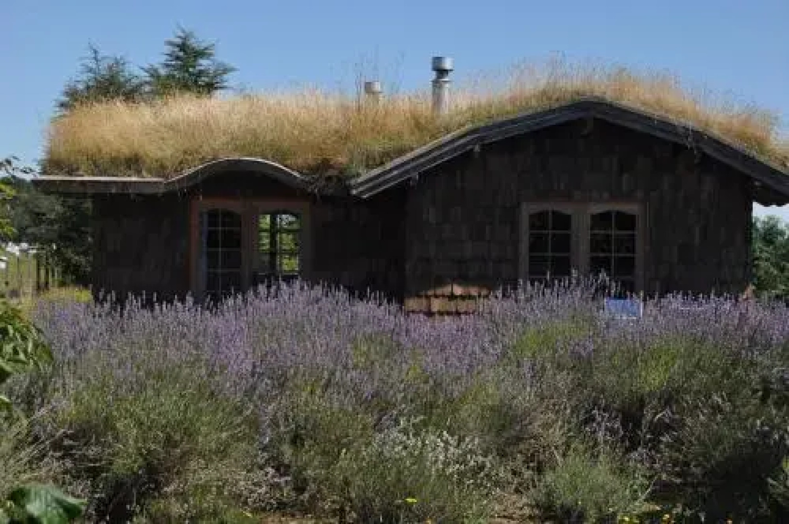 Hostal Zapato Amarillo