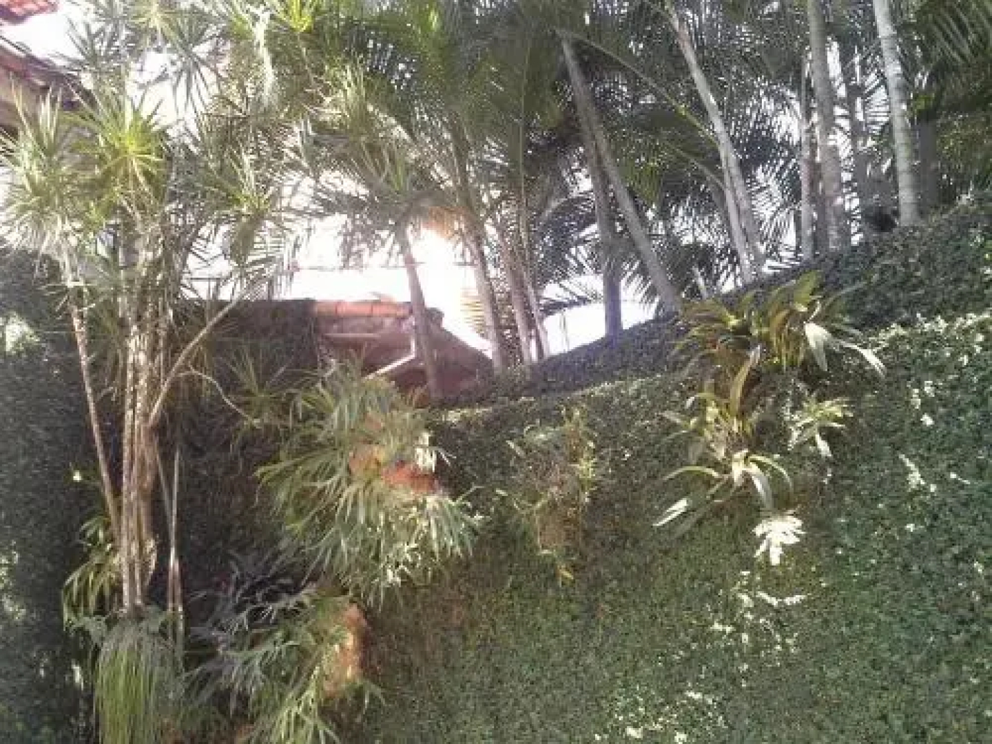 Studio Alto da Gávea