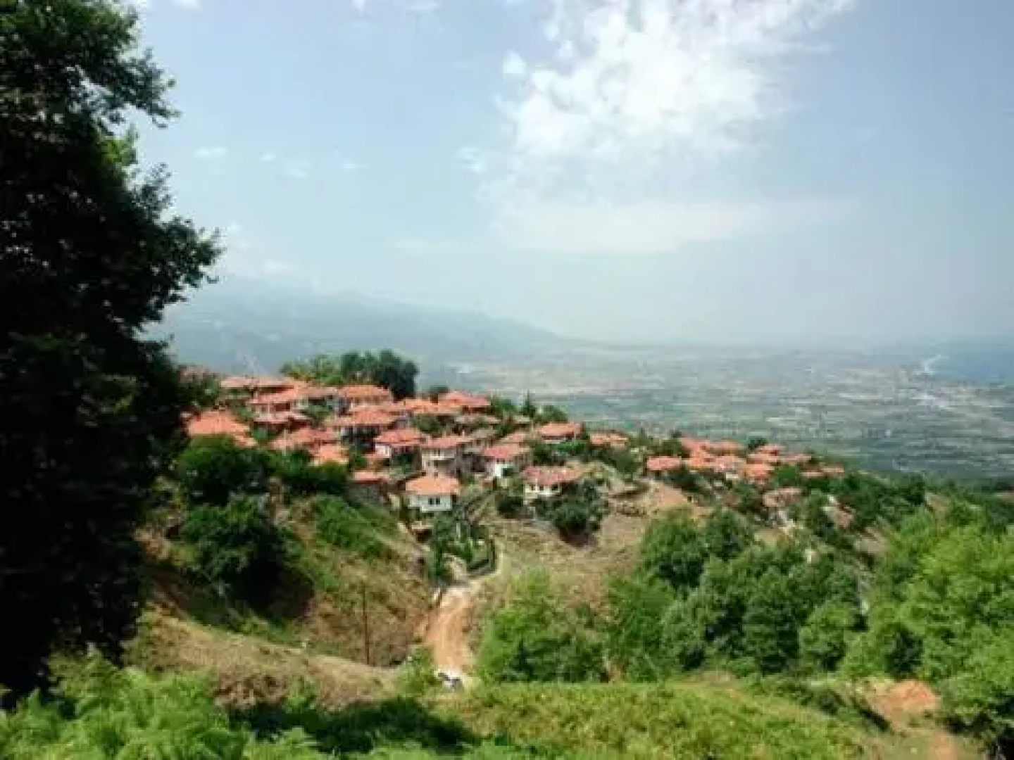 Erato 2