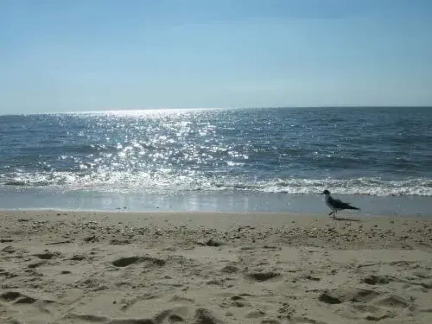 Boardwalk Beach Inn