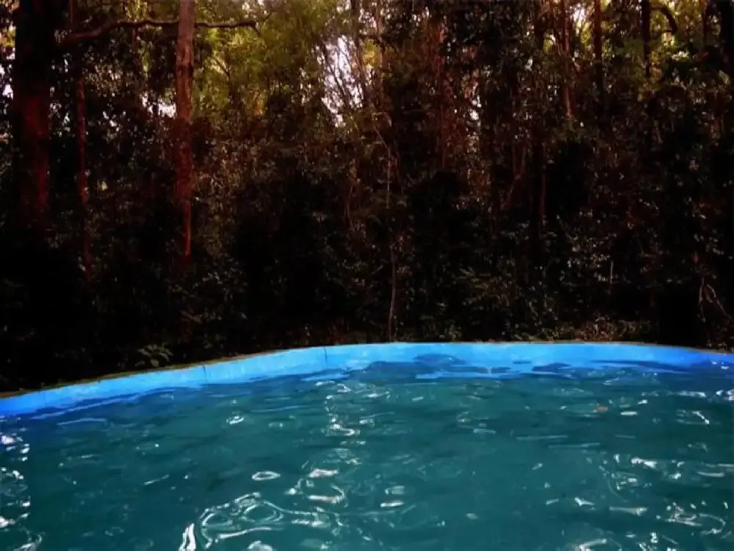 Jiwes Hideout Forest Region