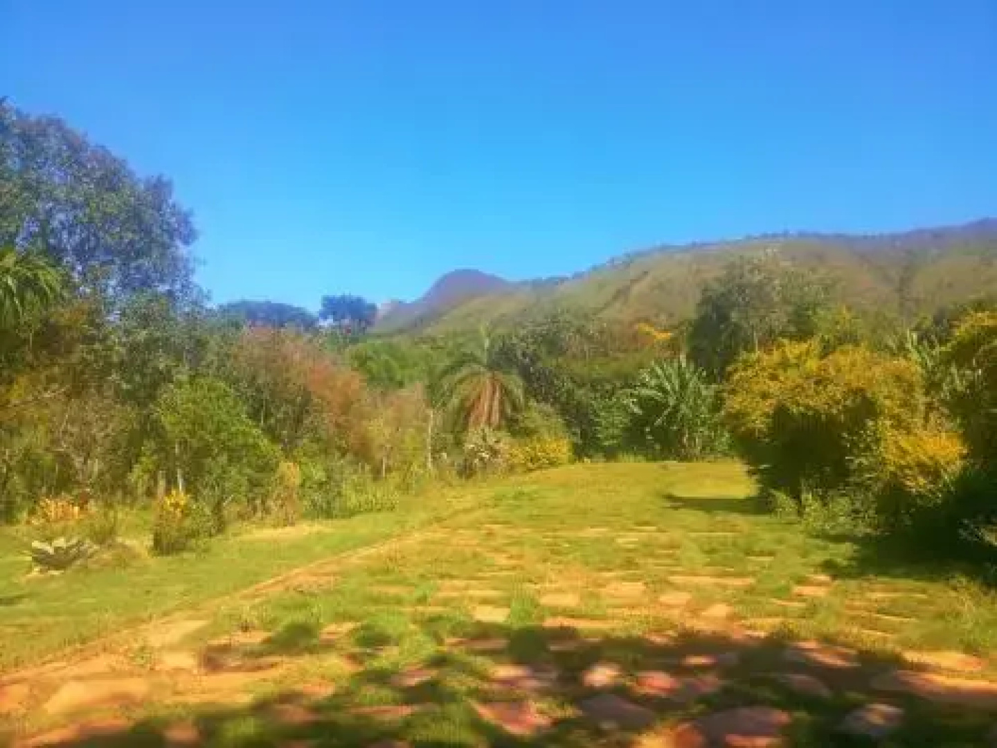 Jangada dos Tucanos