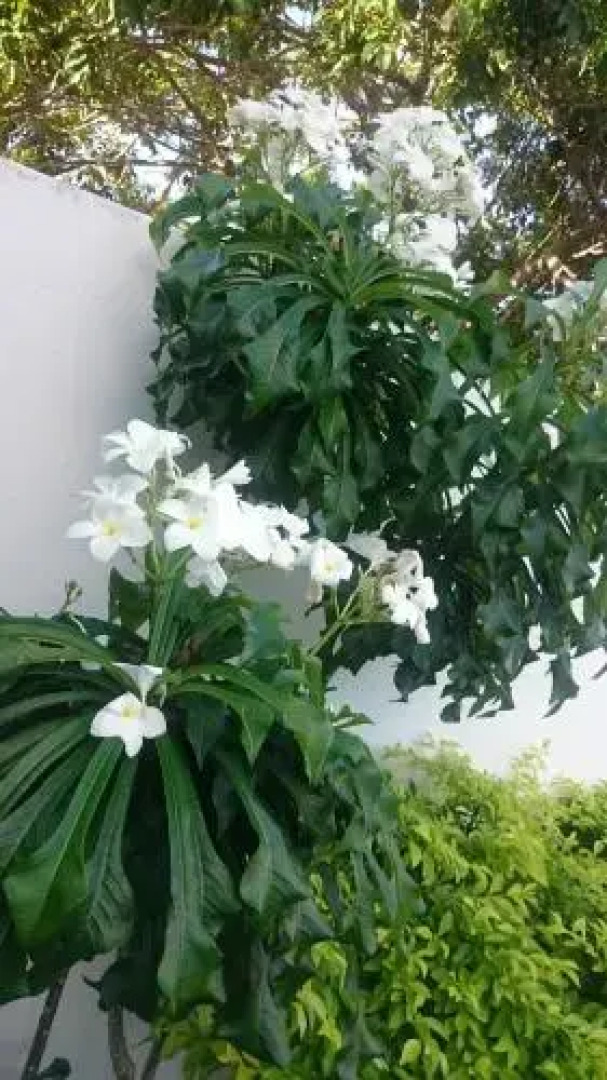 Pousada Recanto Lagoa Azul